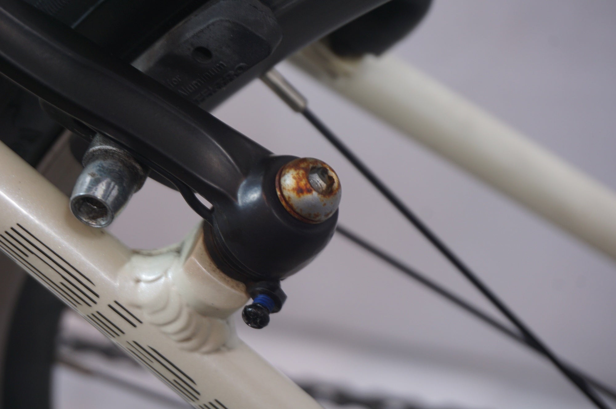 BIANCHI 「ビアンキ」 C-SPORT 1 2019年モデル クロスバイク / 世田谷店