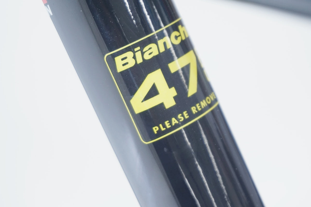 BIANCHI「ビアンキ」 SPRINT DISC 2020年モデル フレームセット / 京都八幡店