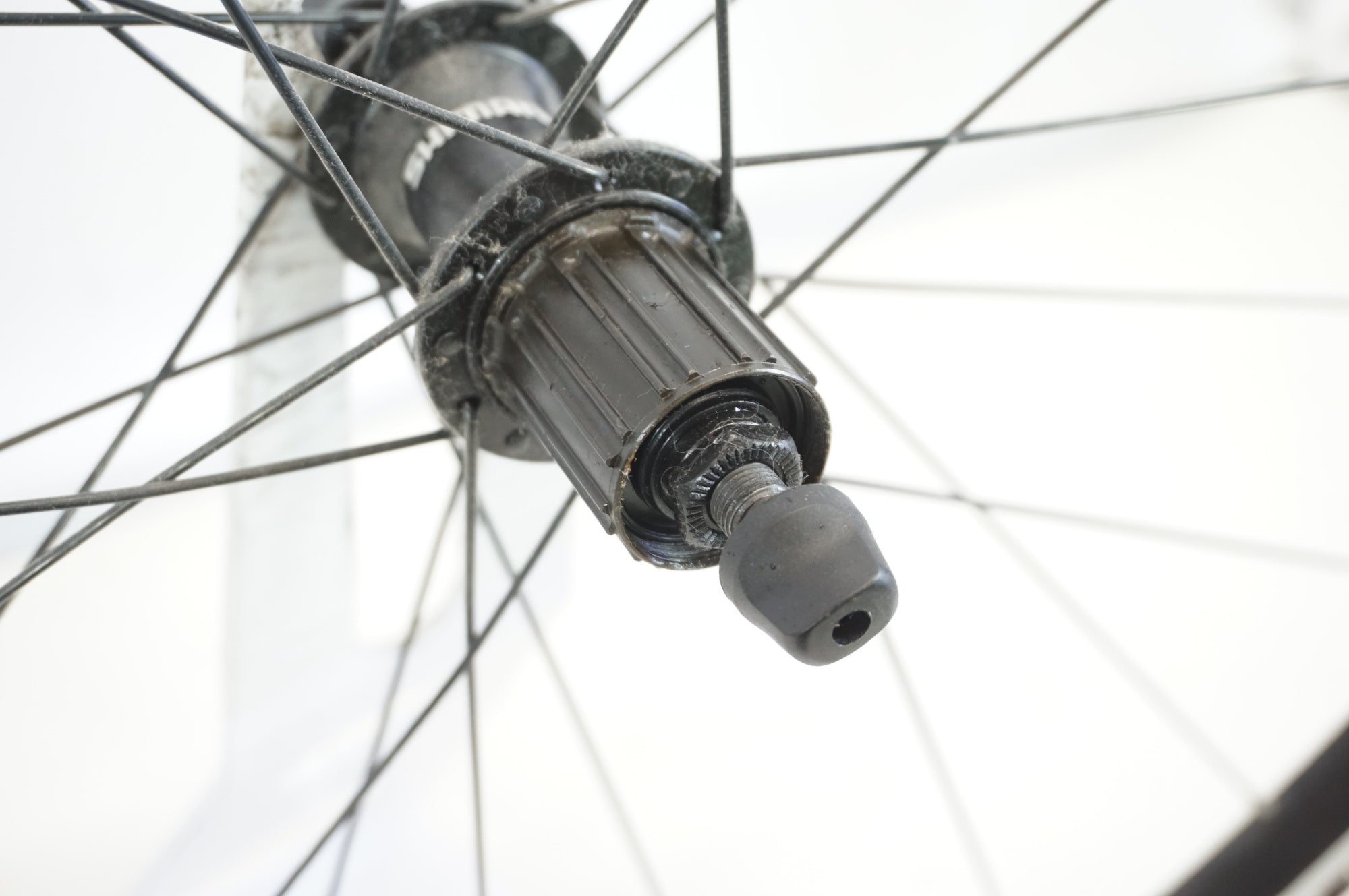 SHIMANO 「シマノ」 WH-RS100 SHIMANO 11s リアホイール / 宇都宮店