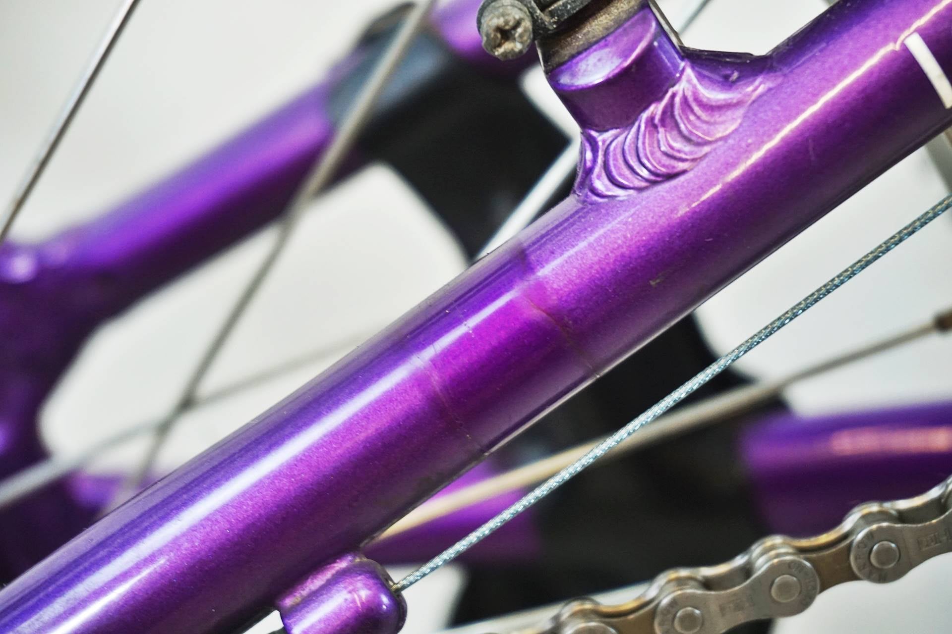 LOUIS GARNEAU 「ルイガノ」 LGS-MV1 2011年式 20インチ ミニベロ / 有明ガーデン店