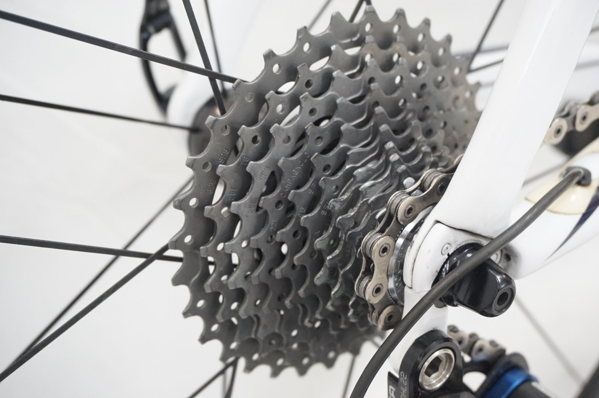 ピナレロMKT No.2 2024000105723-S.jpg