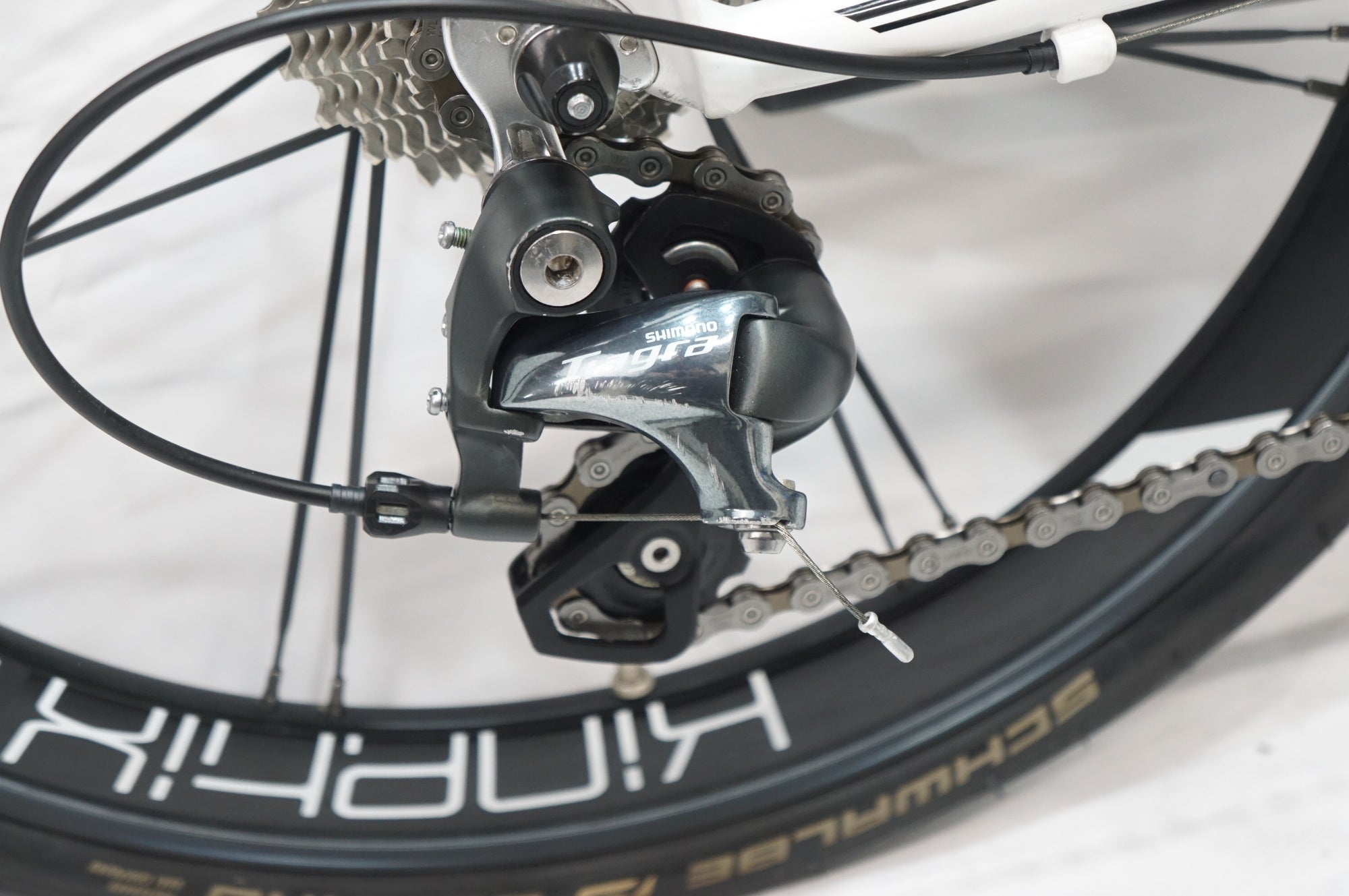TERN 「ターン」 SURGE PRO 2019年モデル 20インチ ミニベロ / 大宮店