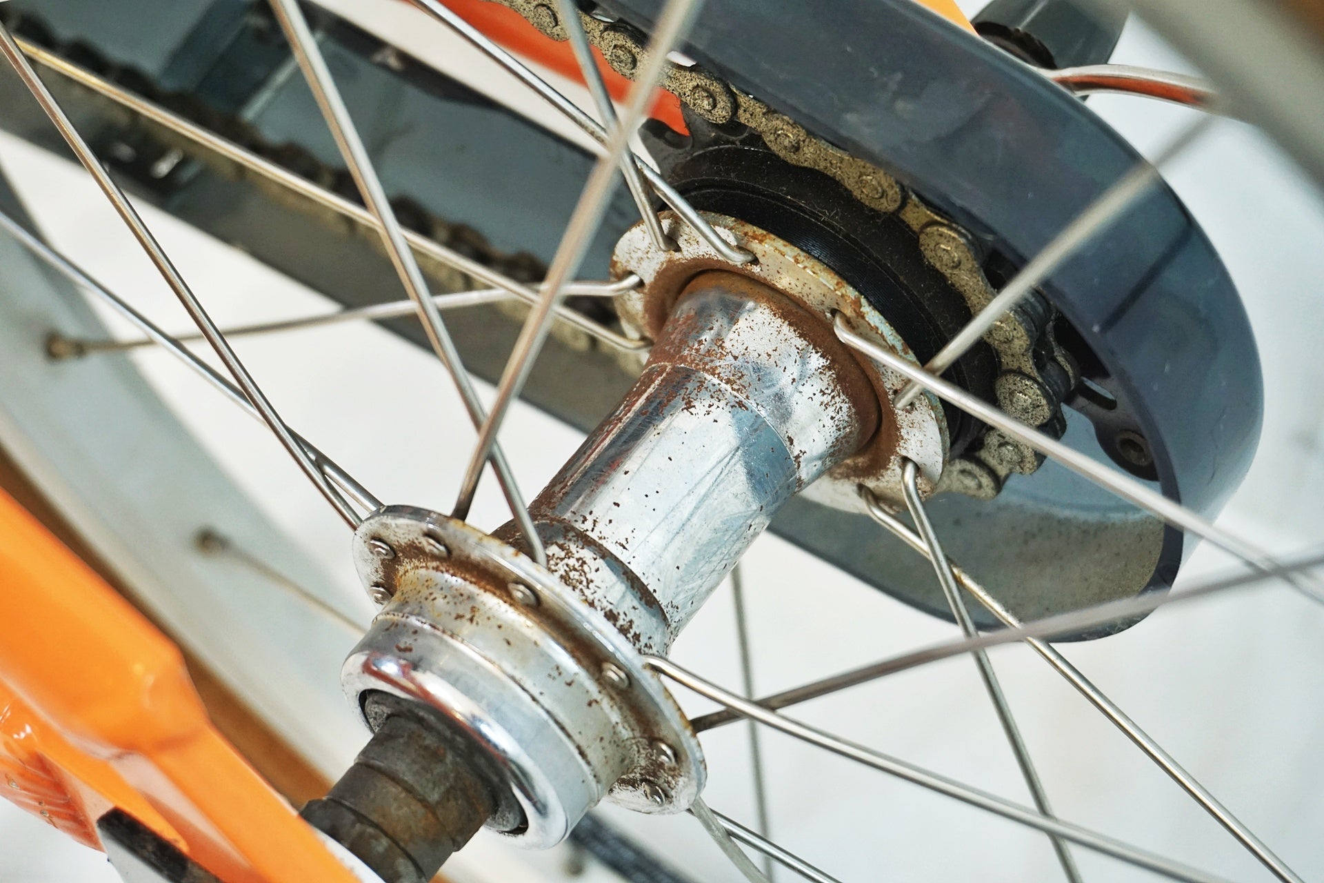 LOUIS GARNEAU 「ルイガノ」 K16 PLUS 2023年モデル キッズバイク / 有明ガーデン店