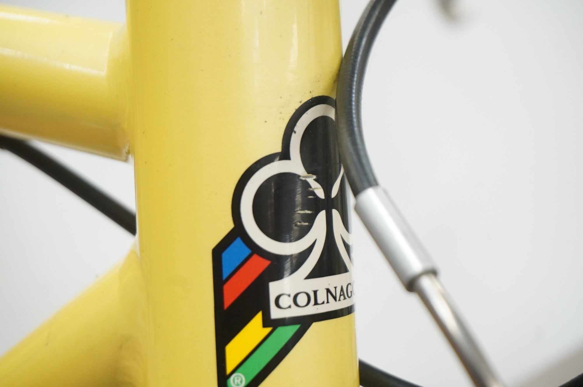 COLNAGO 「コルナゴ」 WINDY 2006年モデル クロスバイク / 福岡アイランドシティ店