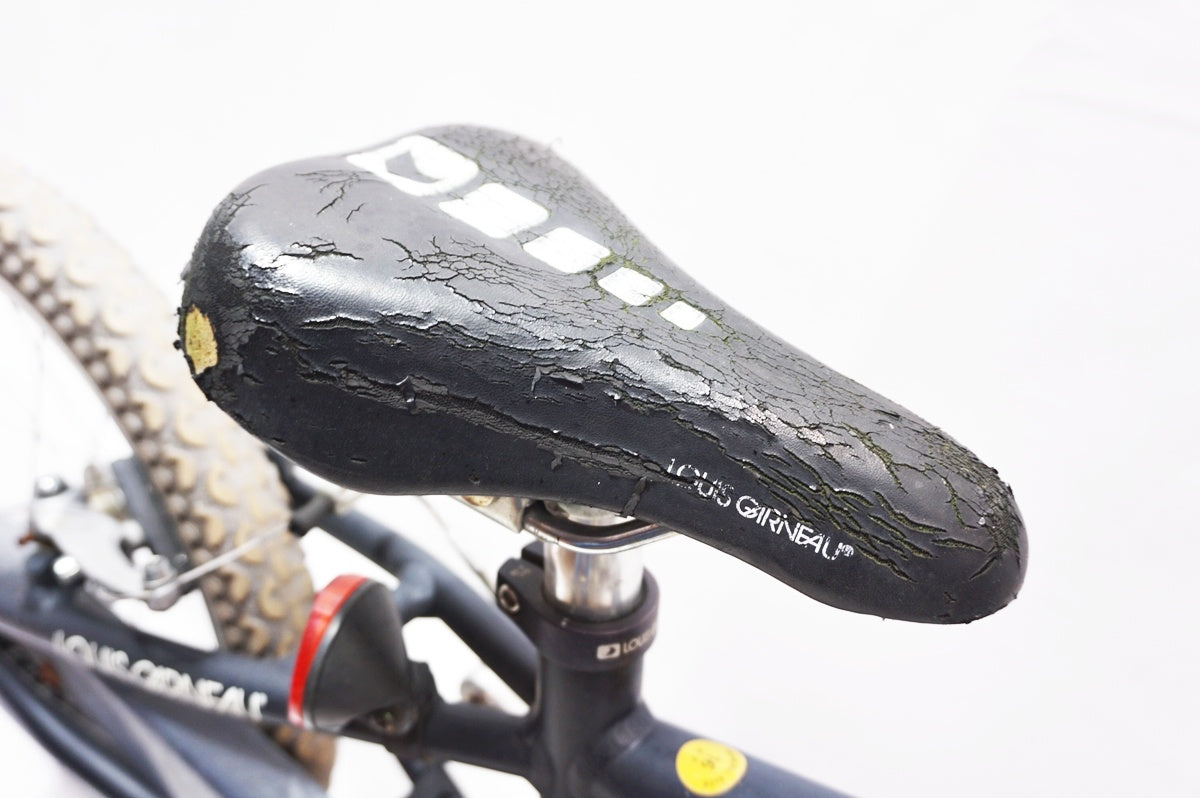 ジャンク LOUIS GARNEAU 「ルイガノ」 LGS-J16 16インチ 2017年モデル キッズバイク / バイチャリ世田谷店