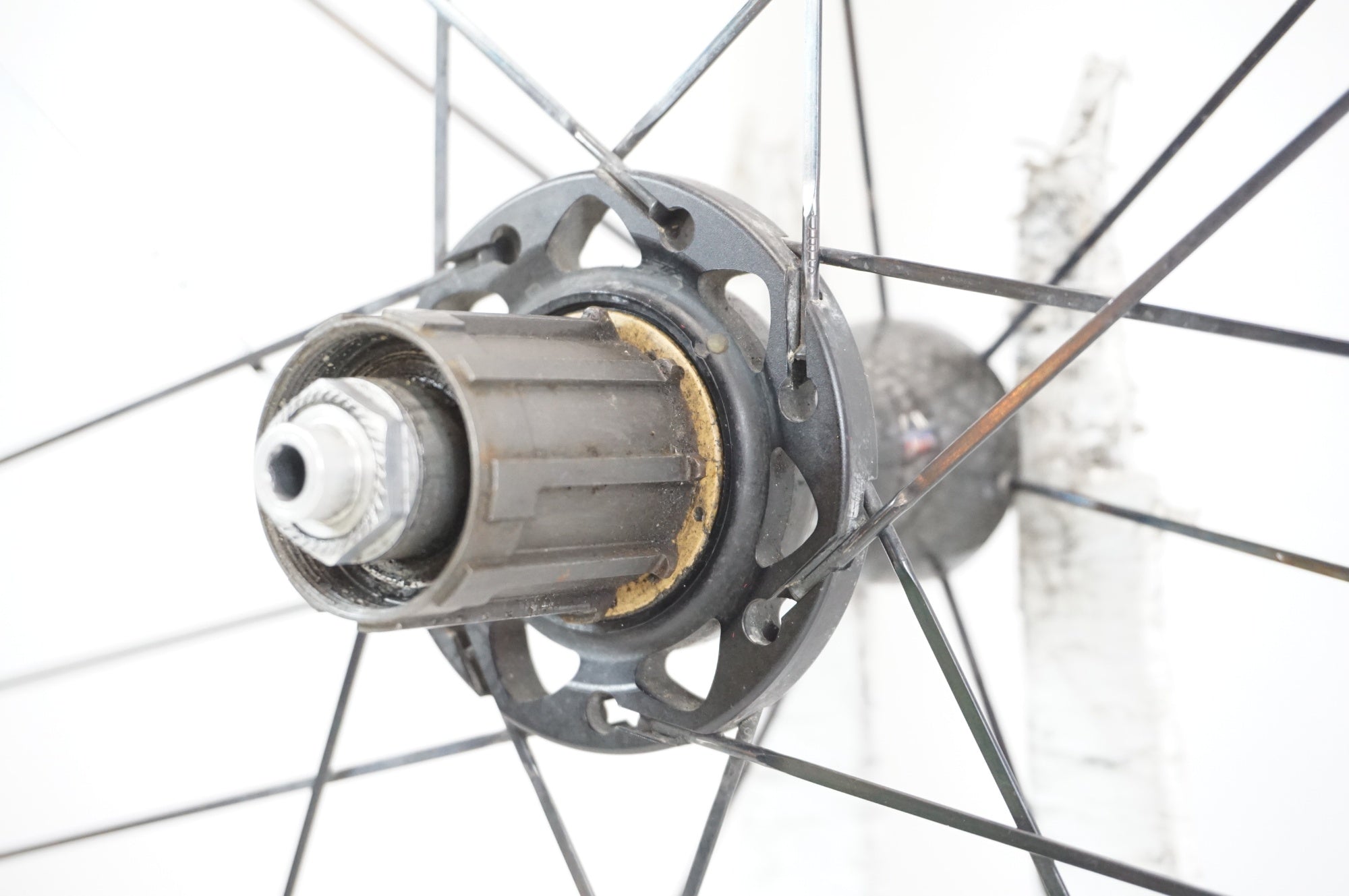 CAMPAGNOLO 「カンパニョーロ」 BORA ULTRA 50 TU カンパ フリー