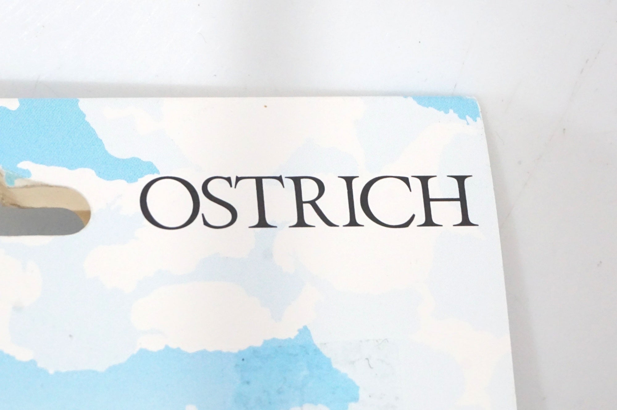 OSTRICH 「オーストリッチ」 ウルトラSL-100 輪行袋 / AKIBA店