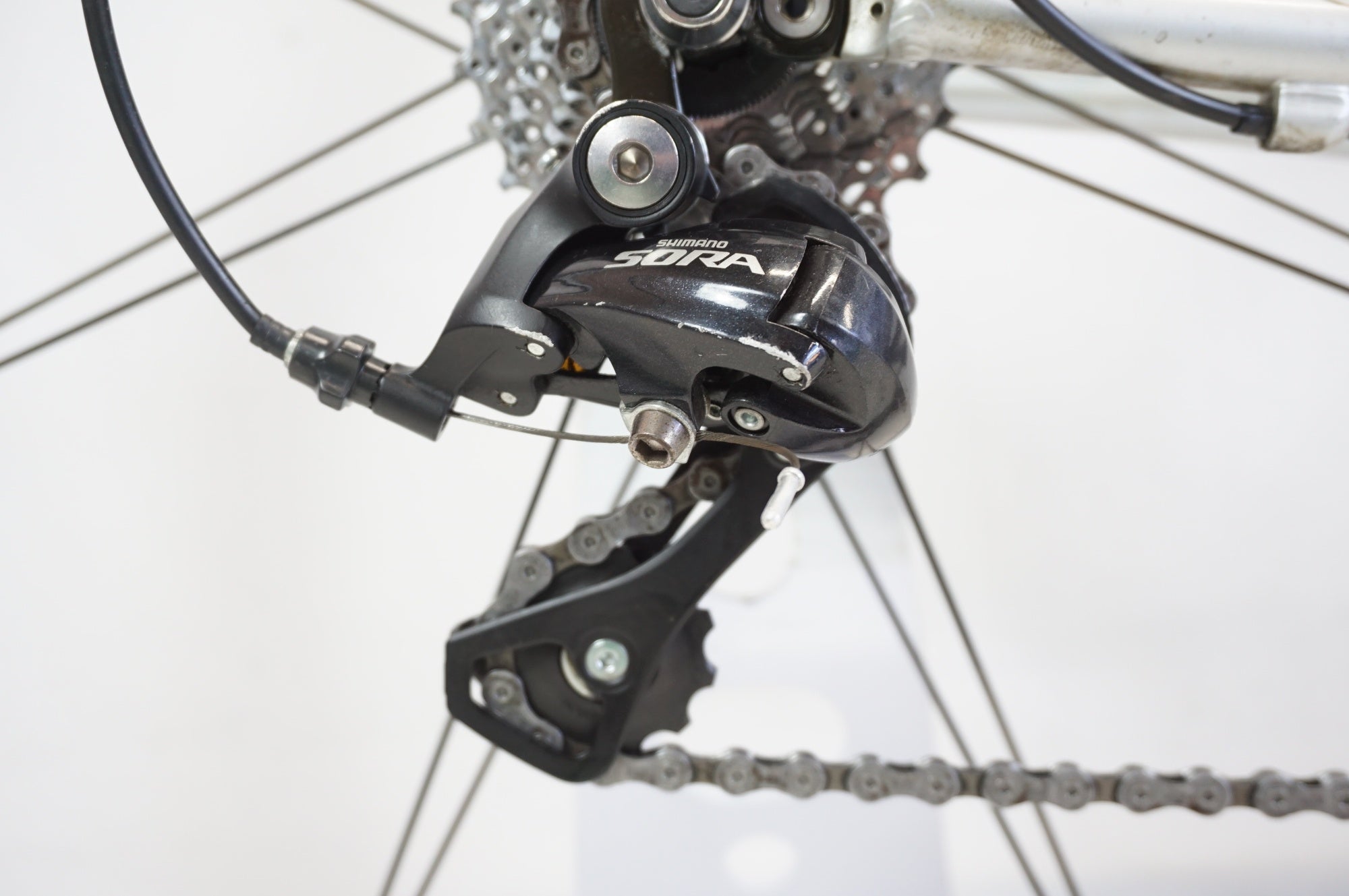 FELT 「フェルト」 F50 2004年モデル ロードバイク / 宇都宮店