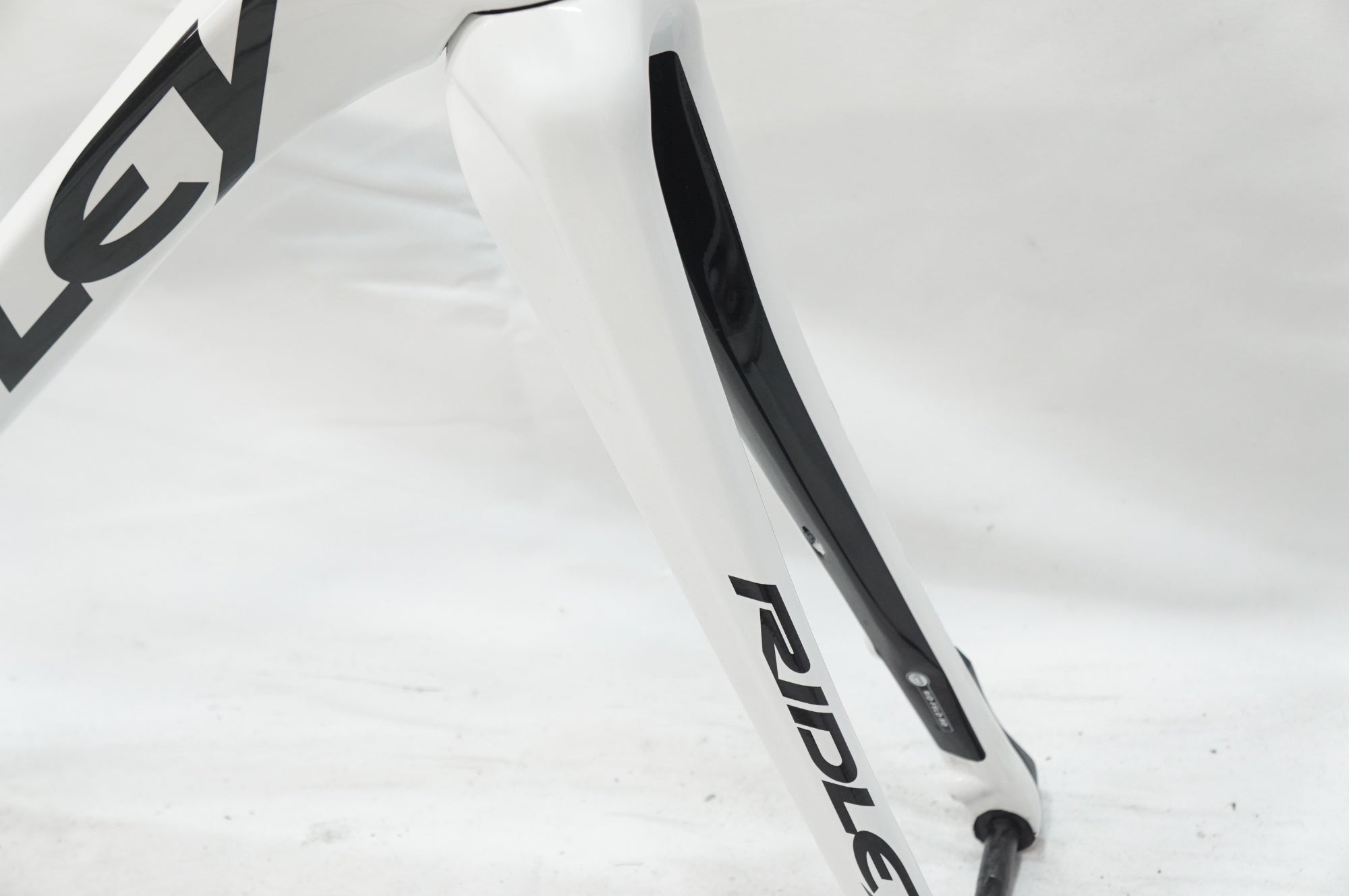 RIDLEY 「リドレー」 FENIX SL DISC 2019年モデル フレームセット / 大宮店