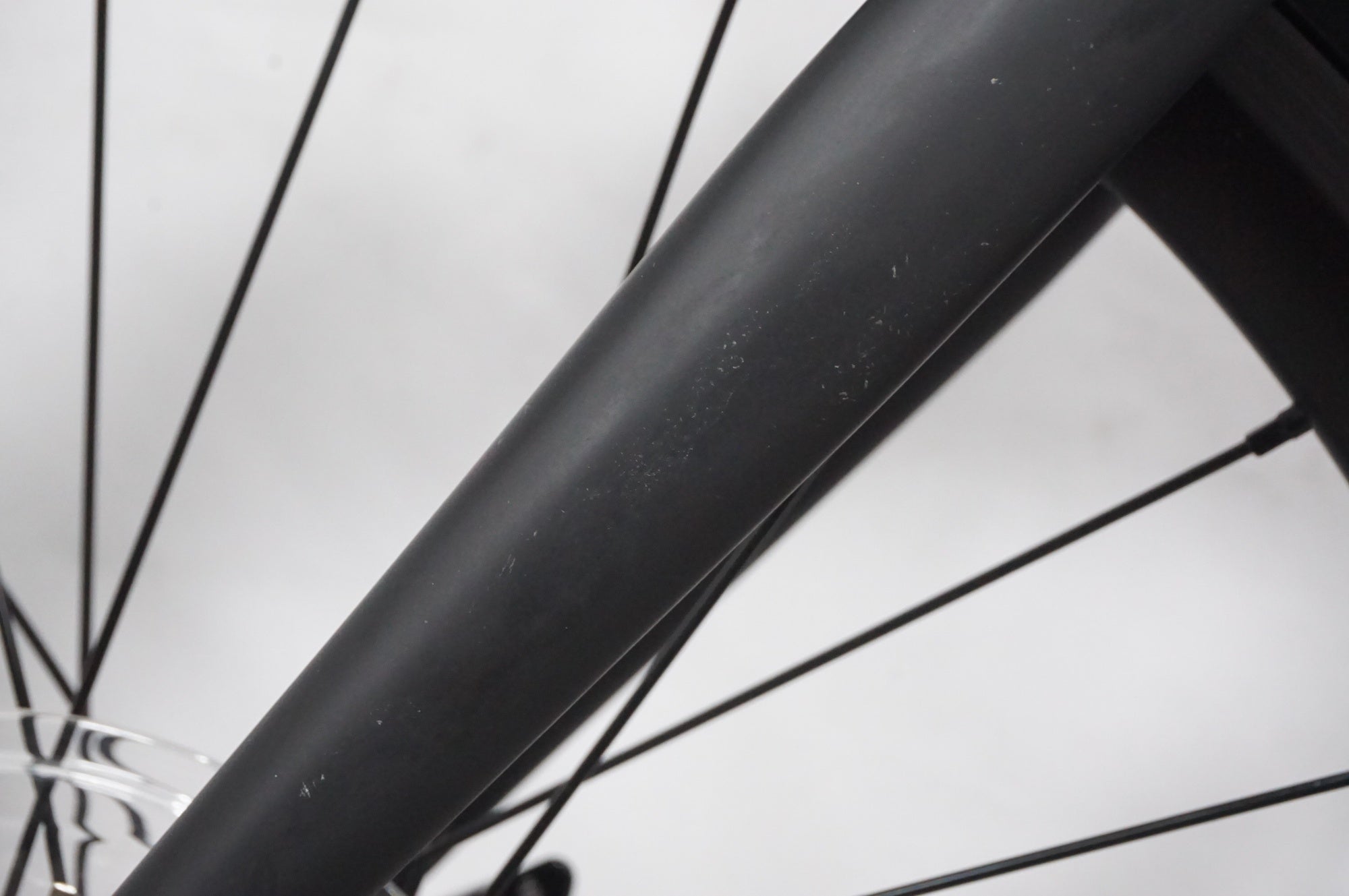 TERN 「ターン」 SURGE 2025年モデル 20インチ ミニベロ / AKIBA店