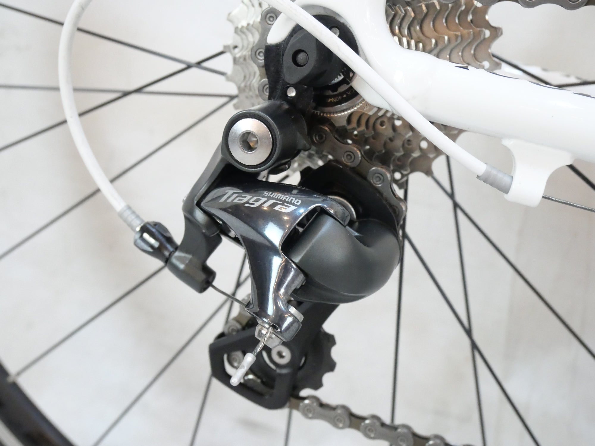 COLNAGO 「コルナゴ」 MONDO 2.0 TIAGRA 2017年モデル ロード