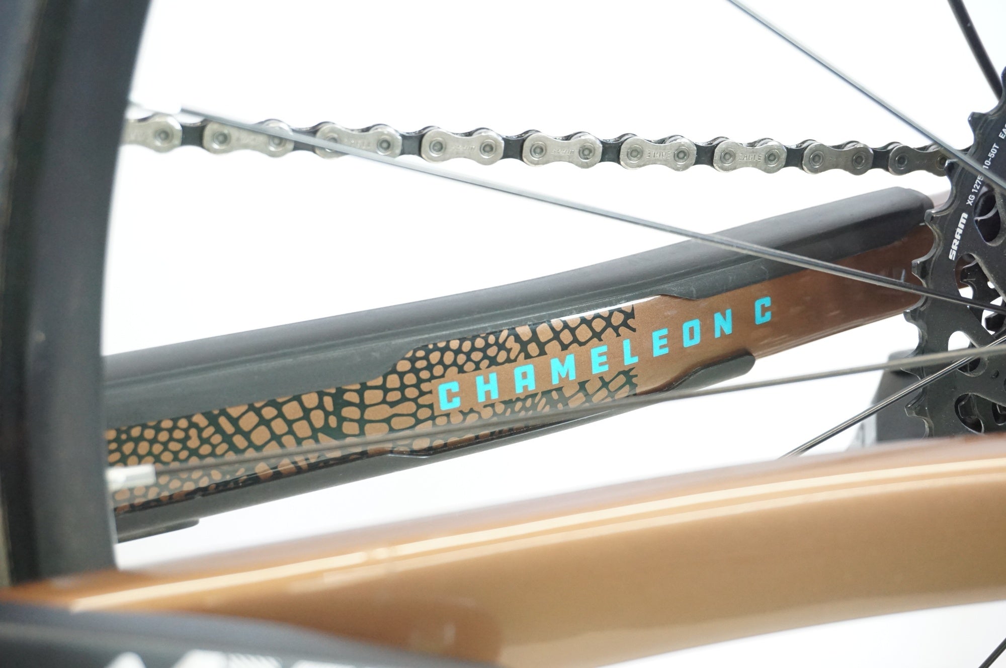SANTA CRUZ 「サンタクルーズ」 CAMELEON CARBON 2019年モデル