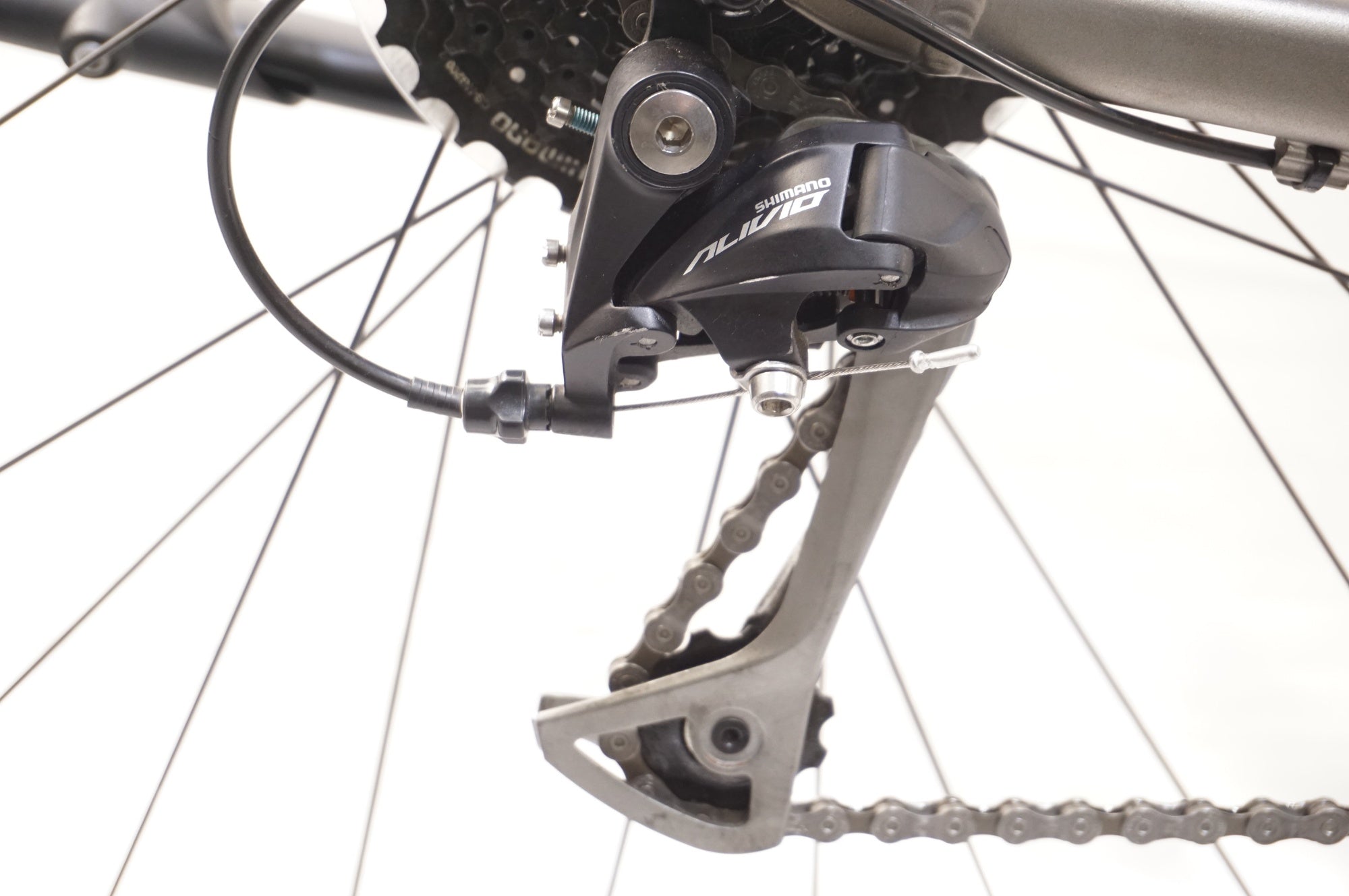 TREK 「トレック」 VERVE+ 2  2020年モデル E-BIKE / 中目黒店
