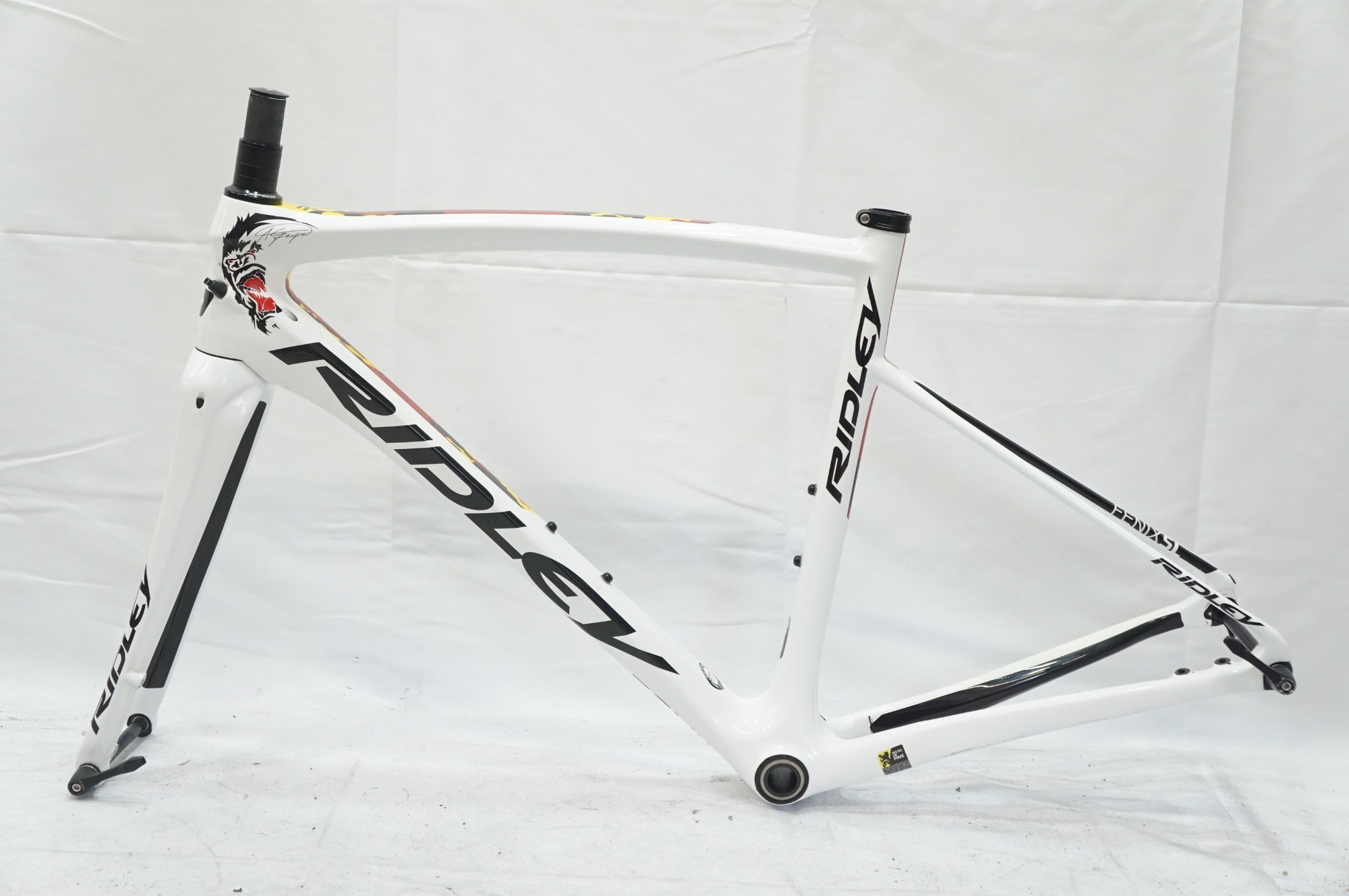 RIDLEY 「リドレー」 FENIX SL DISC 2019年モデル フレームセット / 大宮店