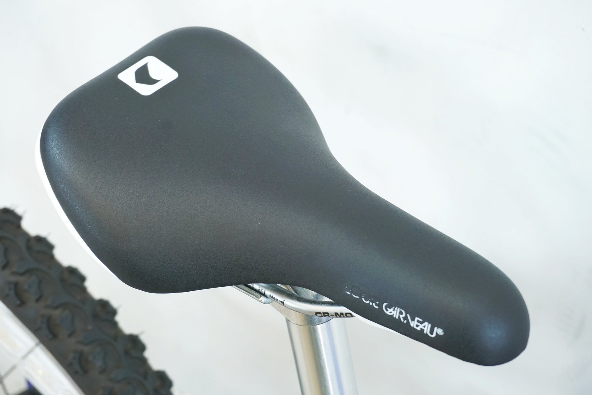 LOUIS GARNEAU 「ルイガノ」 LGS-J22 2019年モデル キッズバイク / 有明ガーデン店