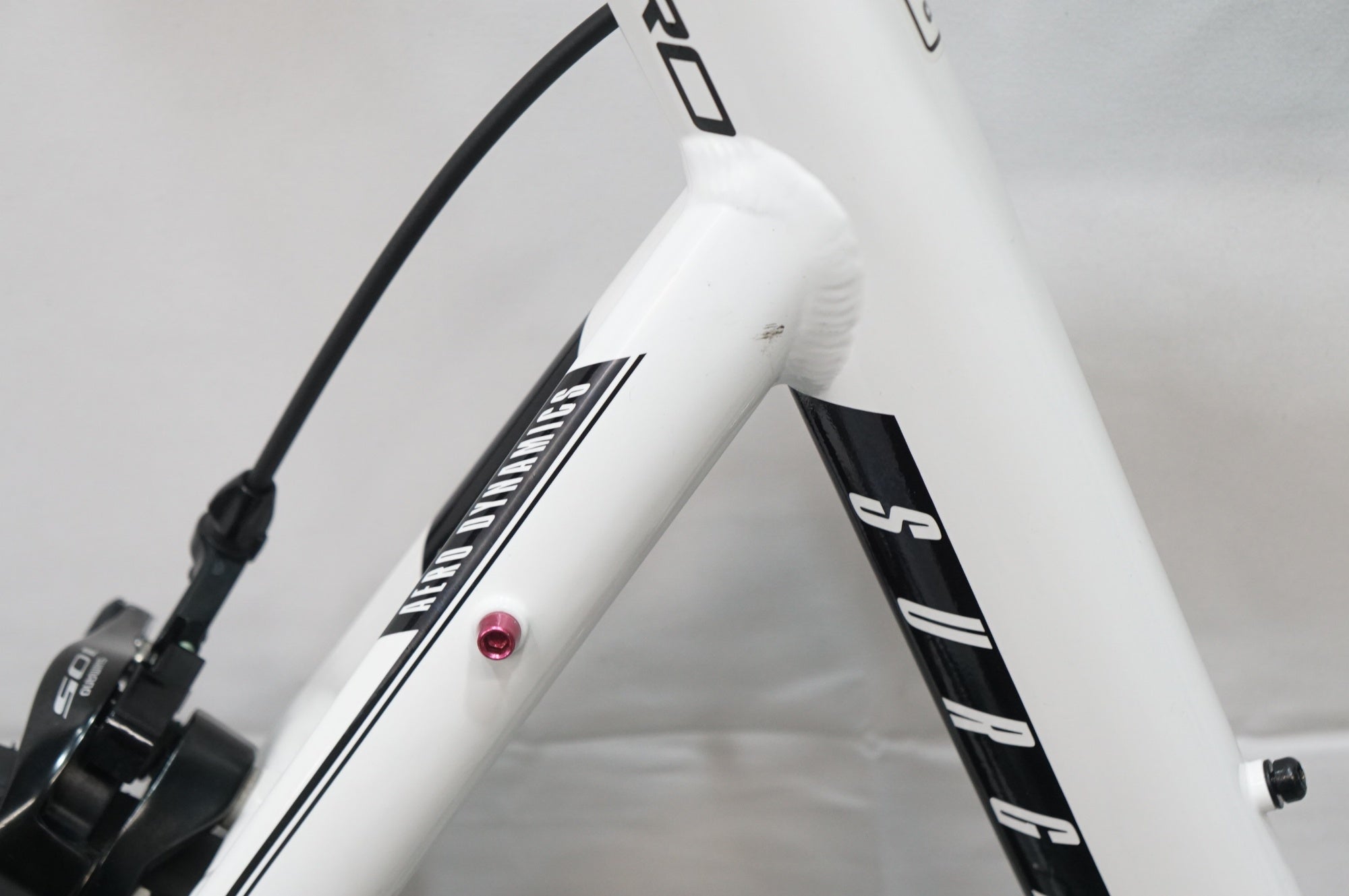 TERN 「ターン」 SURGE PRO 2019年モデル 20インチ ミニベロ / 大宮店