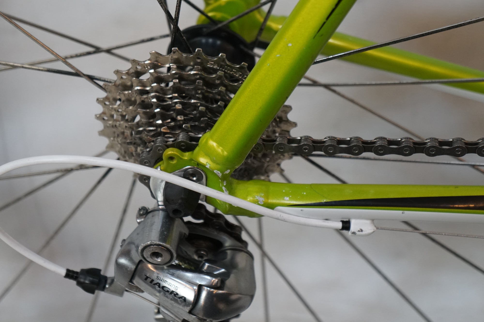 TREK 「トレック」 1.5 ALPHA 2009年モデル ロードバイク / バイチャリ浦和ベース