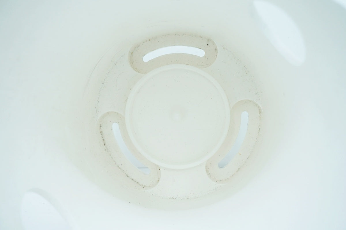 CYCLOC 「サイクロック」 SOLO 壁掛けスタンド / 大阪美原北インター店