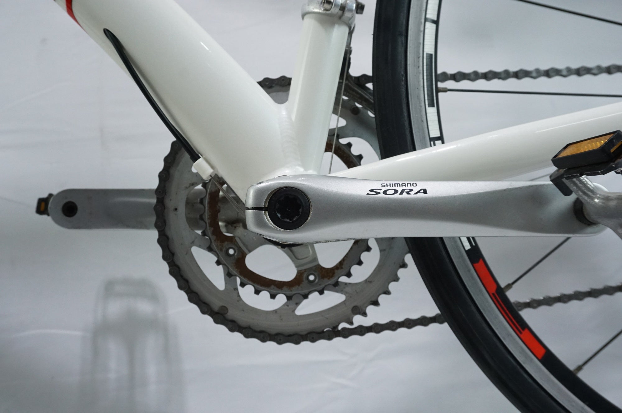 PINARELLO 「ピナレロ」 TREVISO 2011年モデル フラットバーロード / 中目黒店