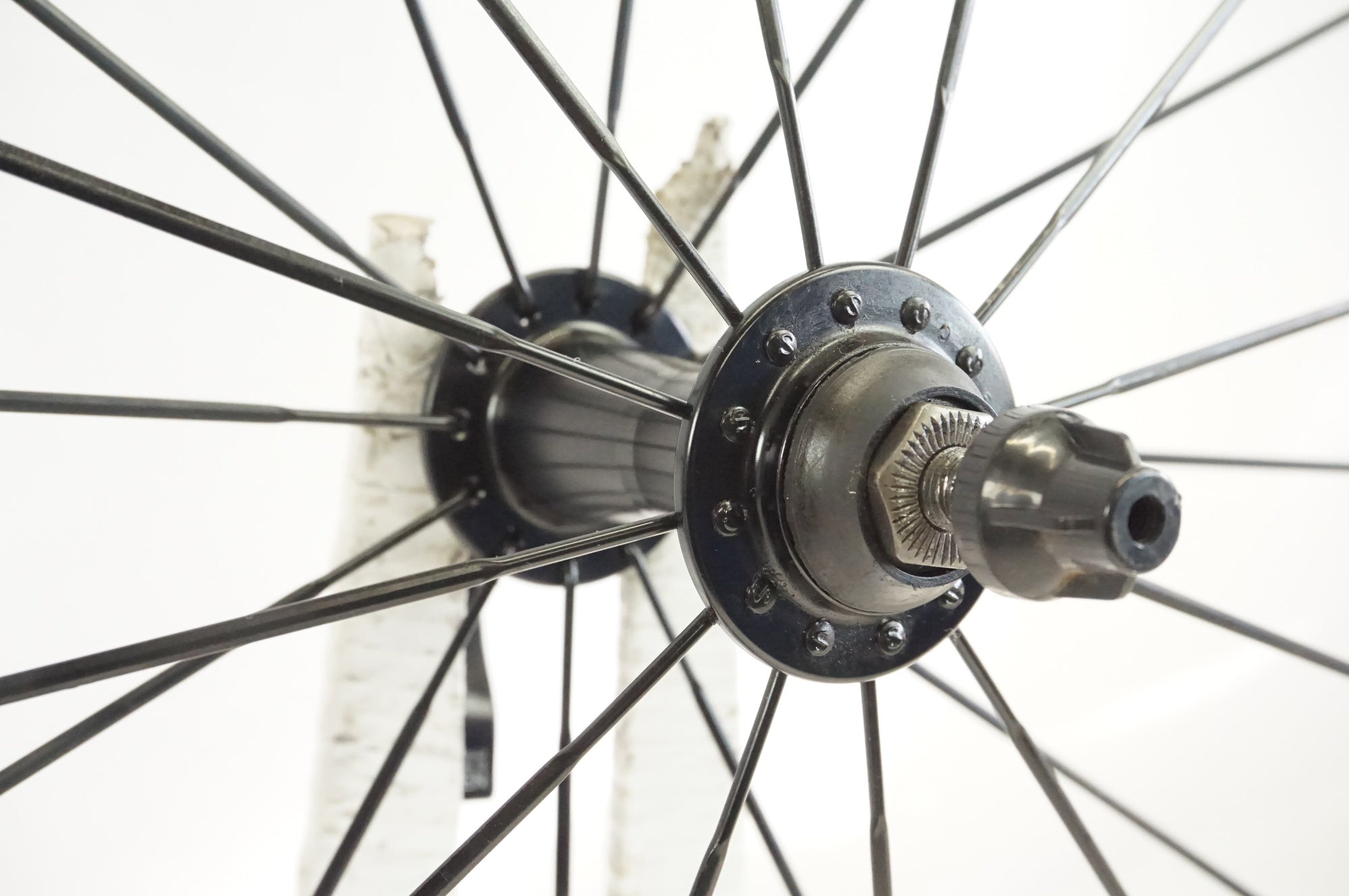 ボントレガー Line Pro 30 TLR Boost 29 MTB ホイール - Trek