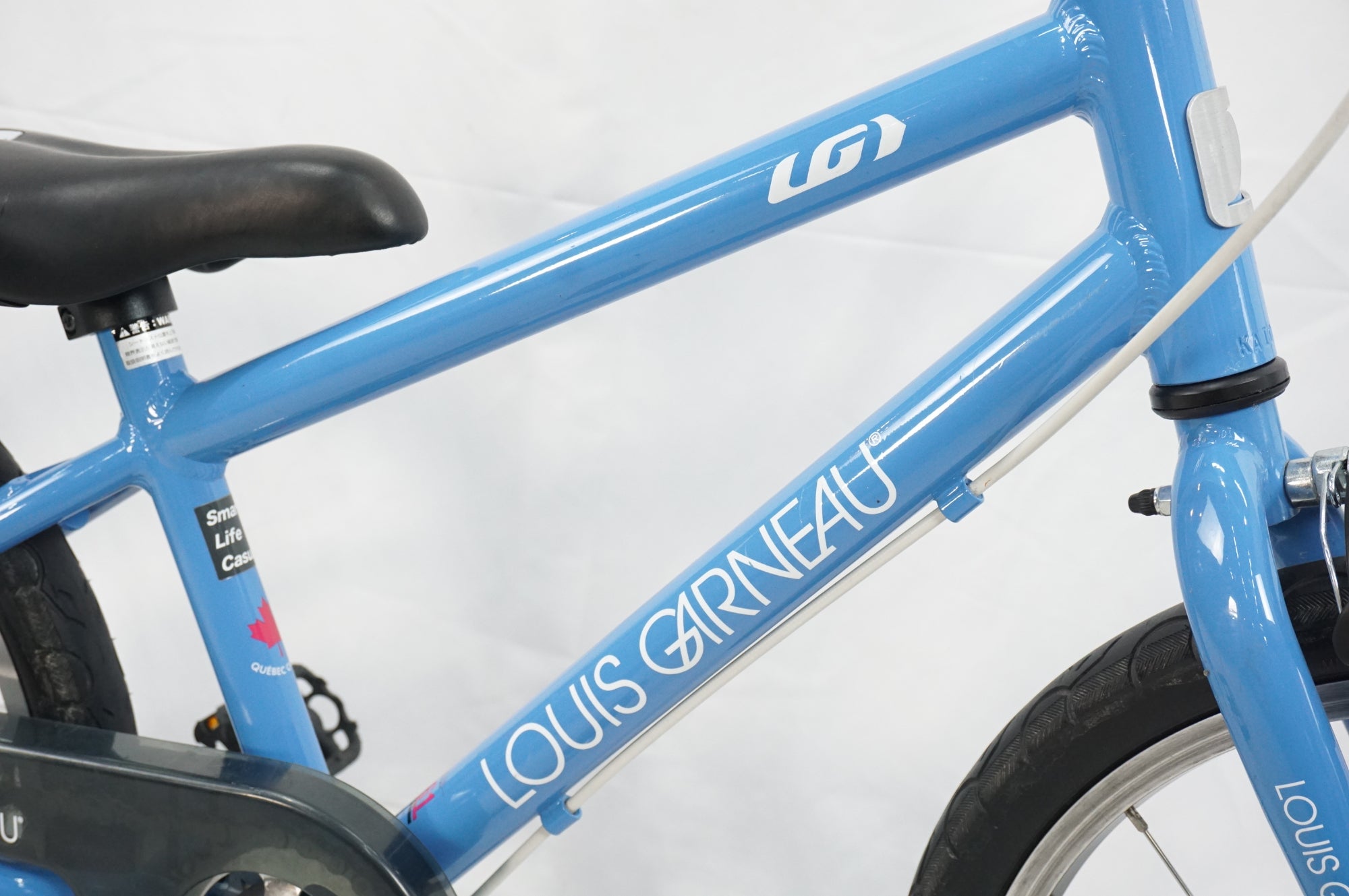 LOUIS GARNEAU 「ルイガノ」 LGS-K18 LITE 2019年モデル キッズバイク / 川越店