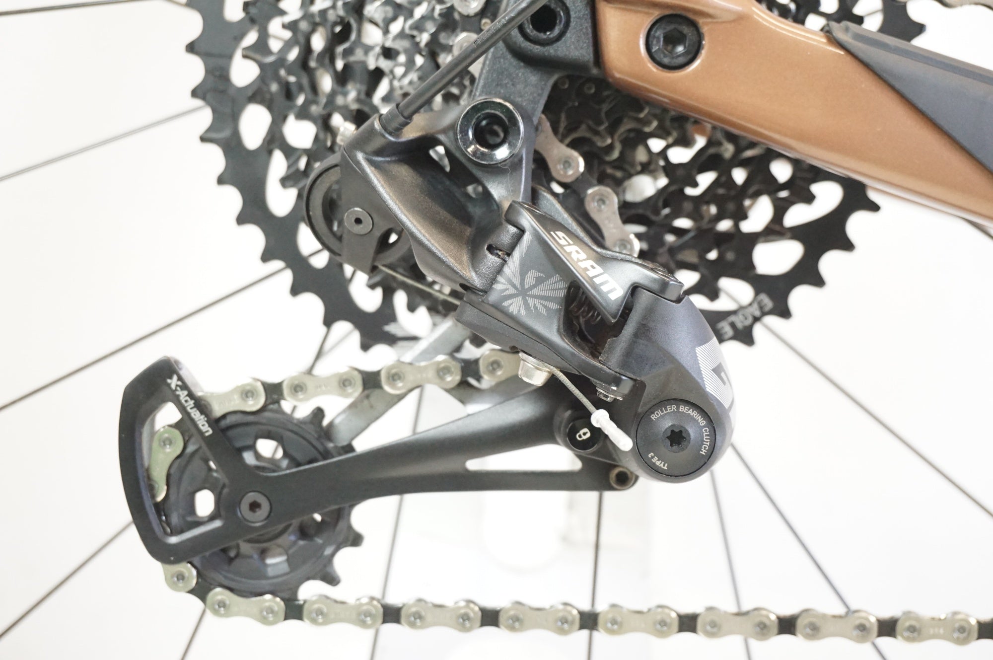 SANTA CRUZ 「サンタクルーズ」 CAMELEON CARBON 2019年モデル 29インチ マウンテンバイク / 宇都宮店