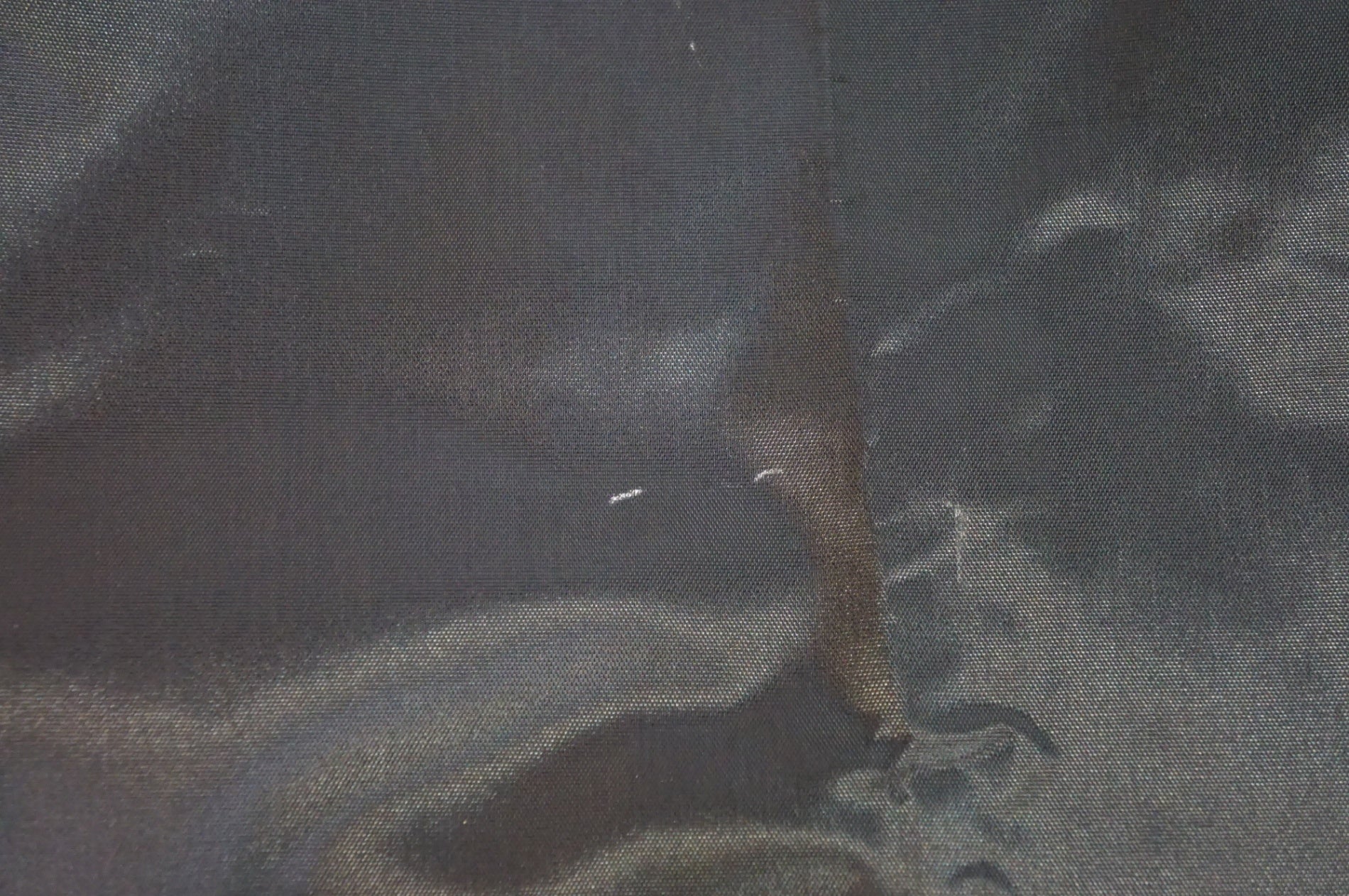 DUUTI 「ドゥーティー」 ホイールバッグセット / 熊谷本店