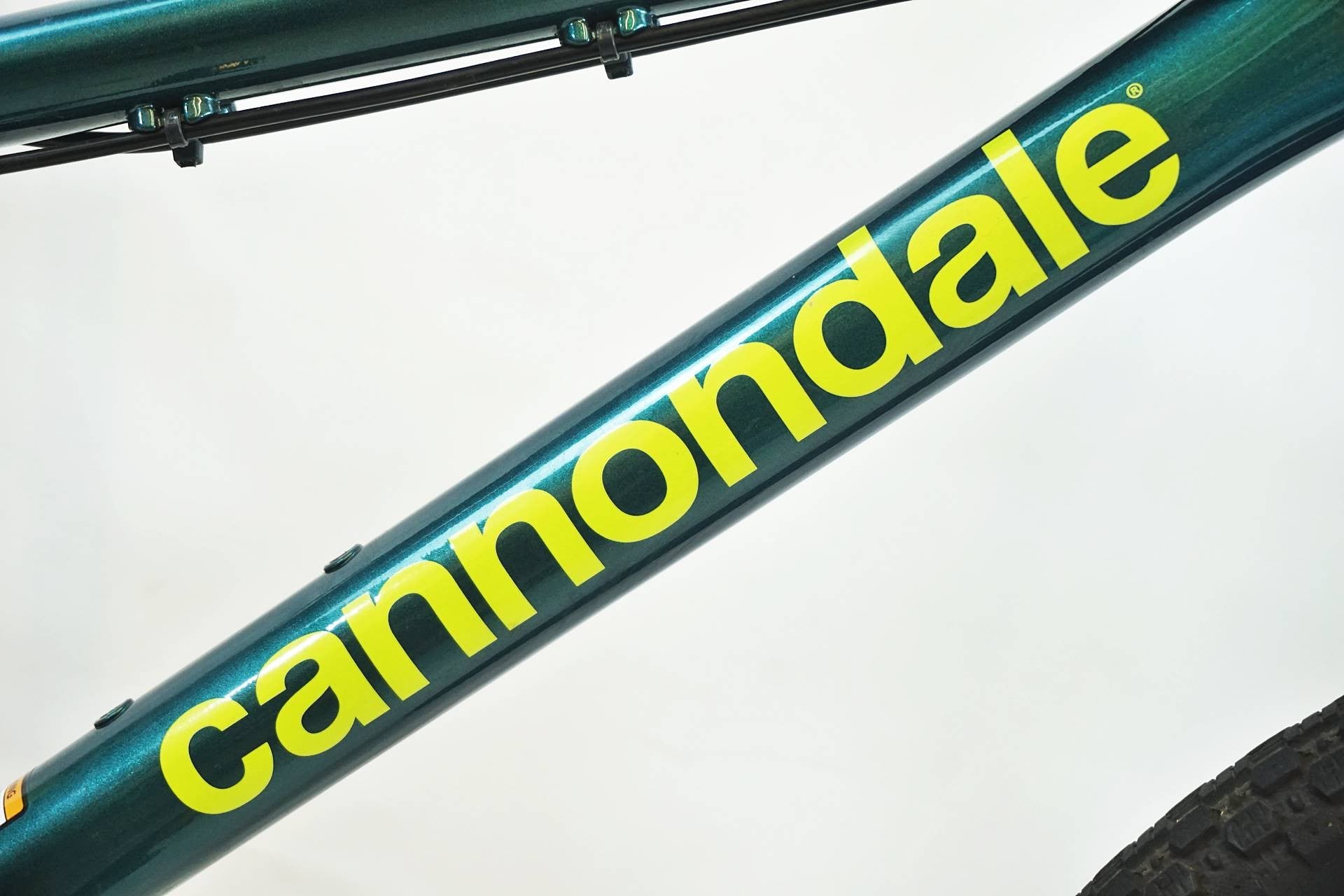 CANNONDALE 「キャノンデール」 20 KIDS TRAIL 2021年モデル 20インチ キッズバイク / 有明ガーデン店