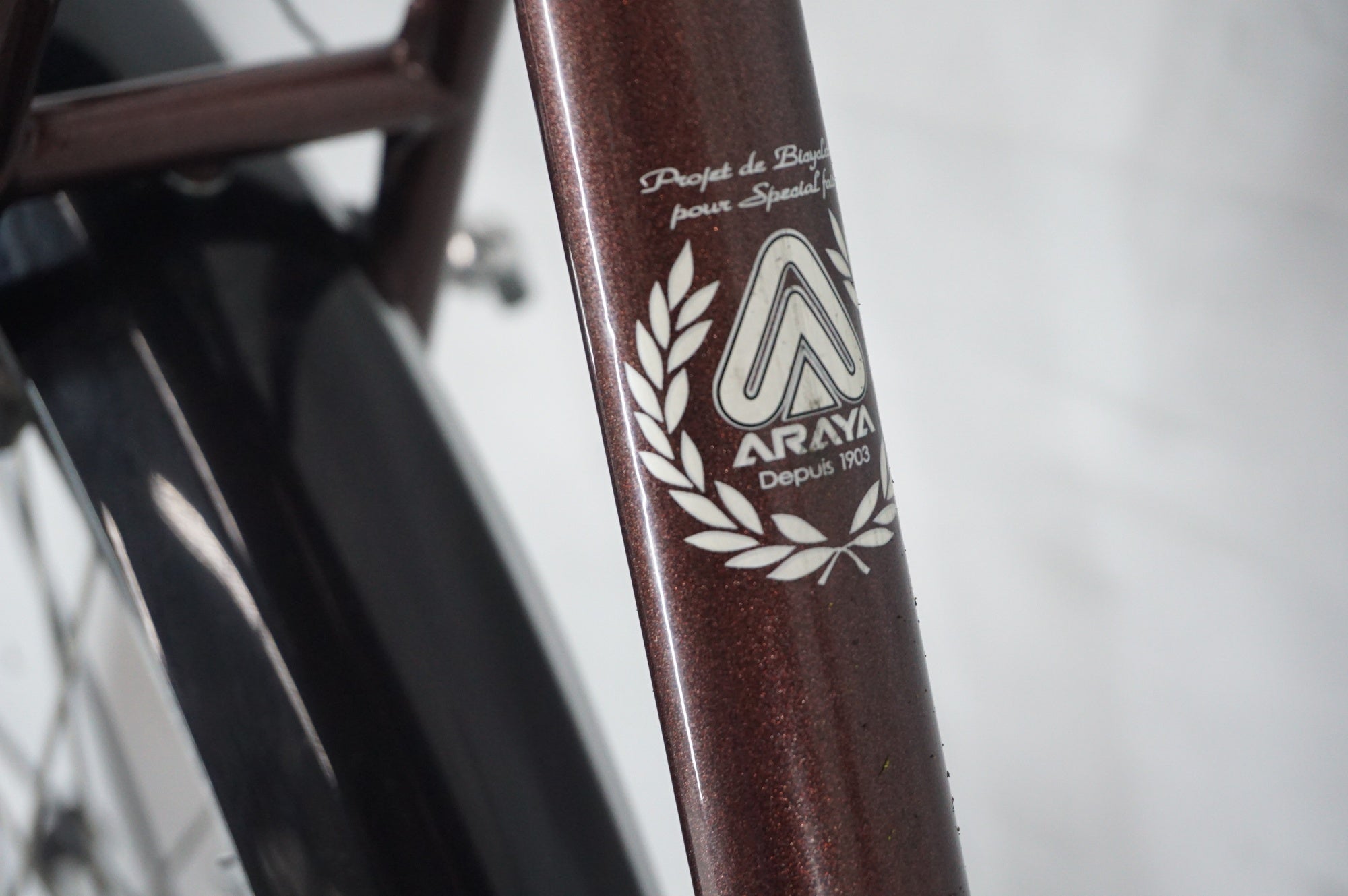 【ムーン・太郎・ペン】ARAYA　ランドナー ディアゴナール　手渡し ARAYA 「アラヤ」 SPECIAL RANDONNEUR 年式不明 ランドナー / 阪急塚口