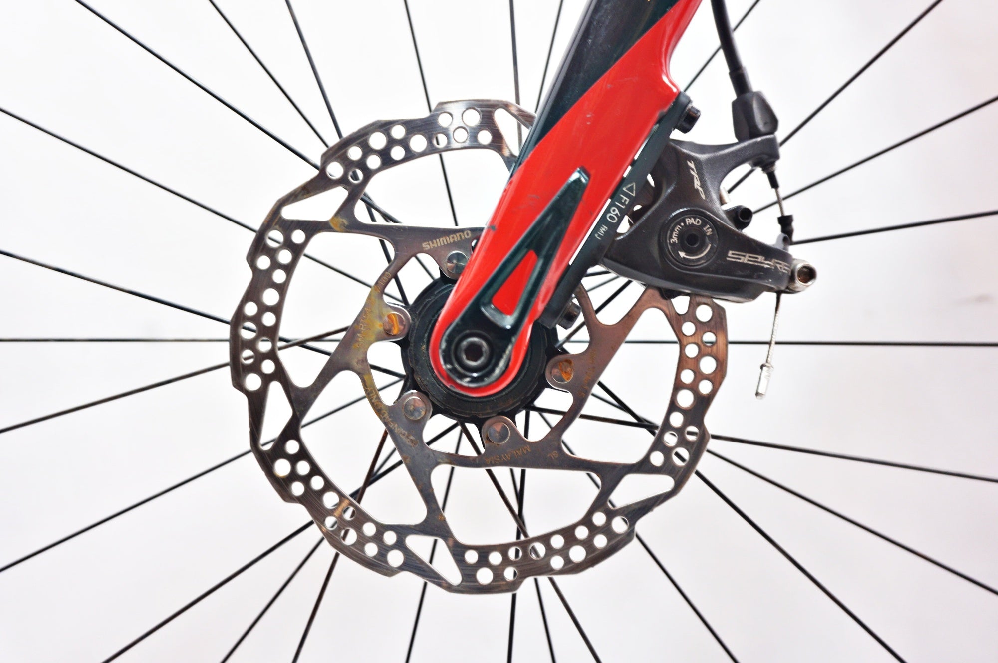 SPECIALIZED 「スペシャライズド」 ROUBAIX ELITE DISC 2019年モデル ロードバイク / バイチャリ世田谷店