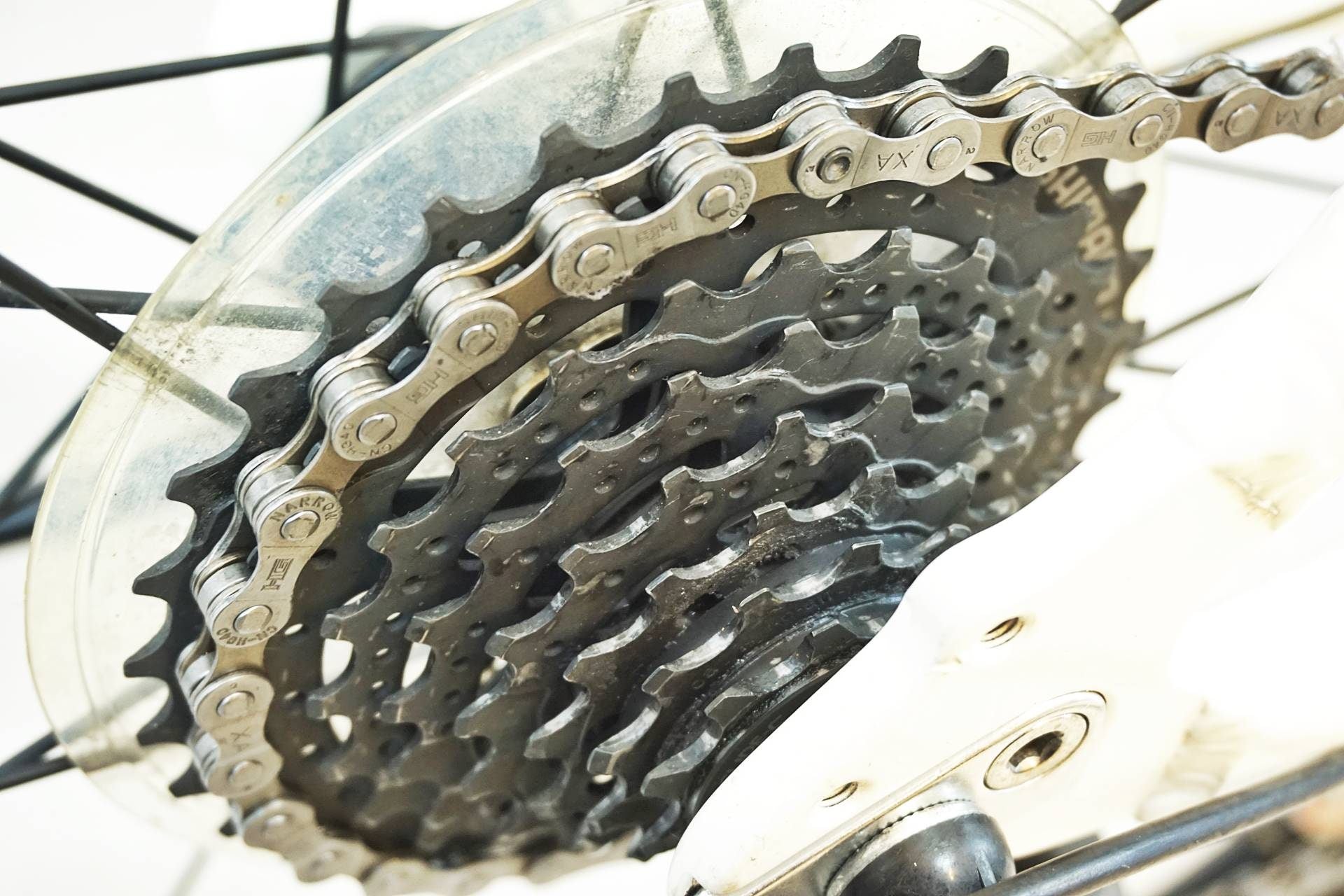 BRIDGESTONE 「ブリヂストン」 GREEN LABEL CYLVA F24 2018年モデル クロスバイク / 有明ガーデン店