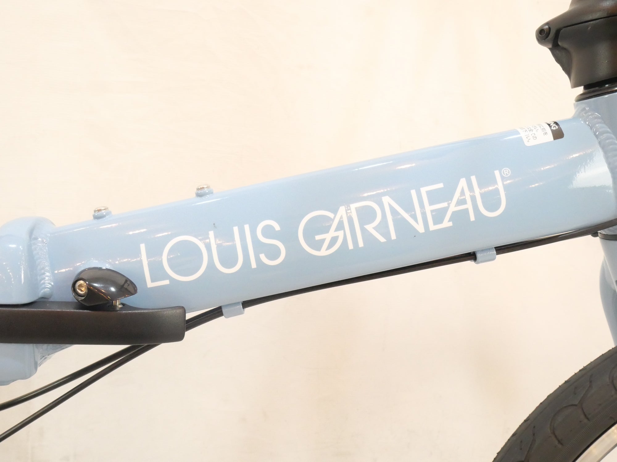 LOUIS GARNEAU 「ルイガノ」 EASEL 6.0 2021年モデル 20インチ 折り畳み自転車 / バイチャリ浦和ベース