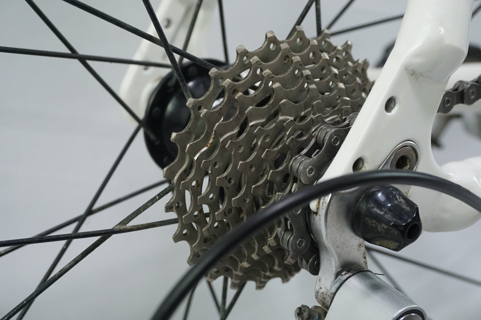 PINARELLO 「ピナレロ」 TREVISO 2011年モデル フラットバーロード / 中目黒店