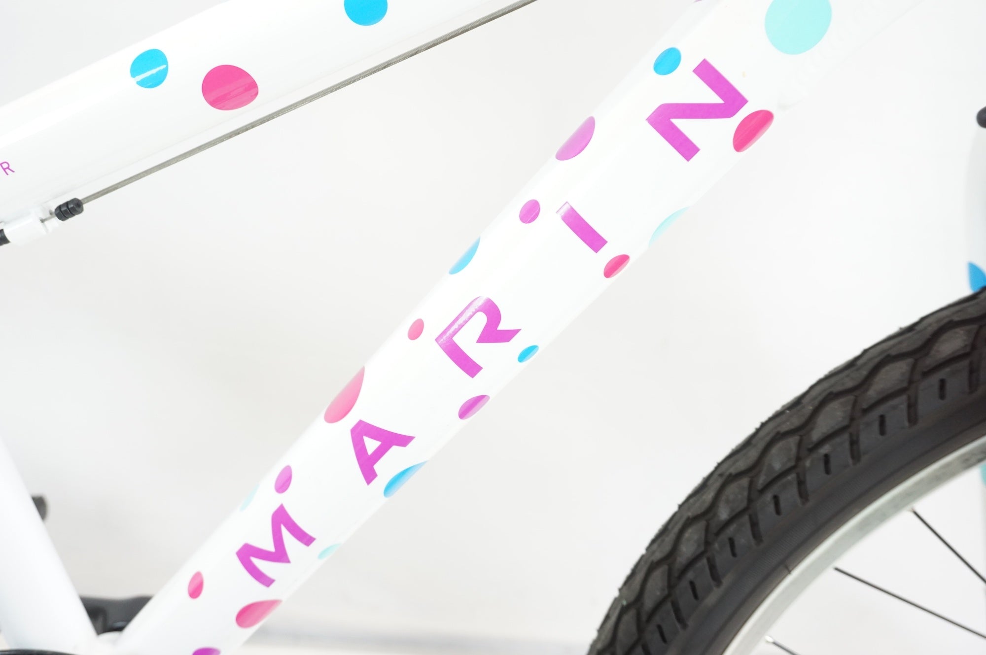 MARIN 「マリン」 DONKY JR 22 2020年モデル キッズバイク / 宇都宮店