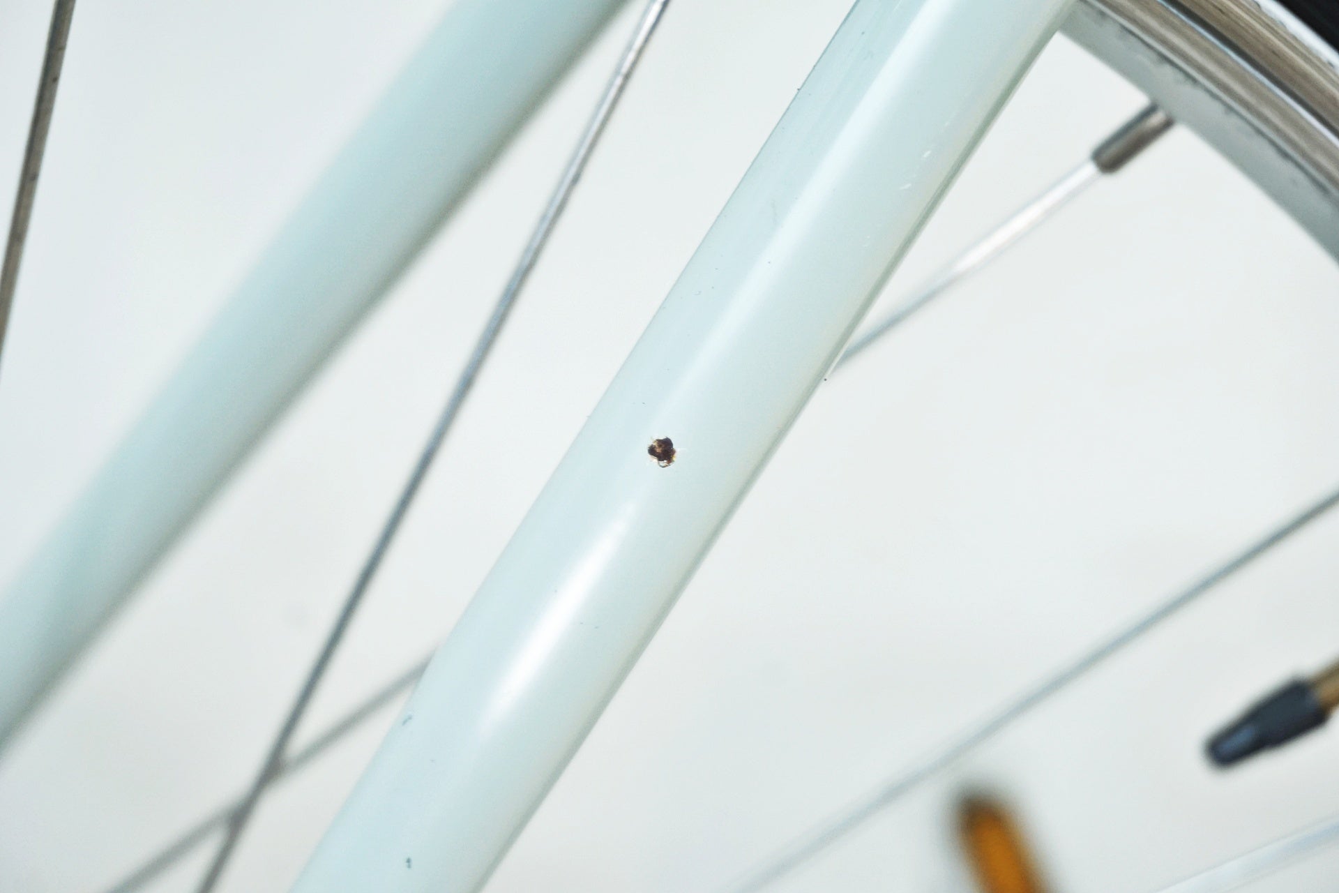 BIANCHI 「ビアンキ」 VIA BRERA 2017年モデル クロスバイク / 有明ガーデン店