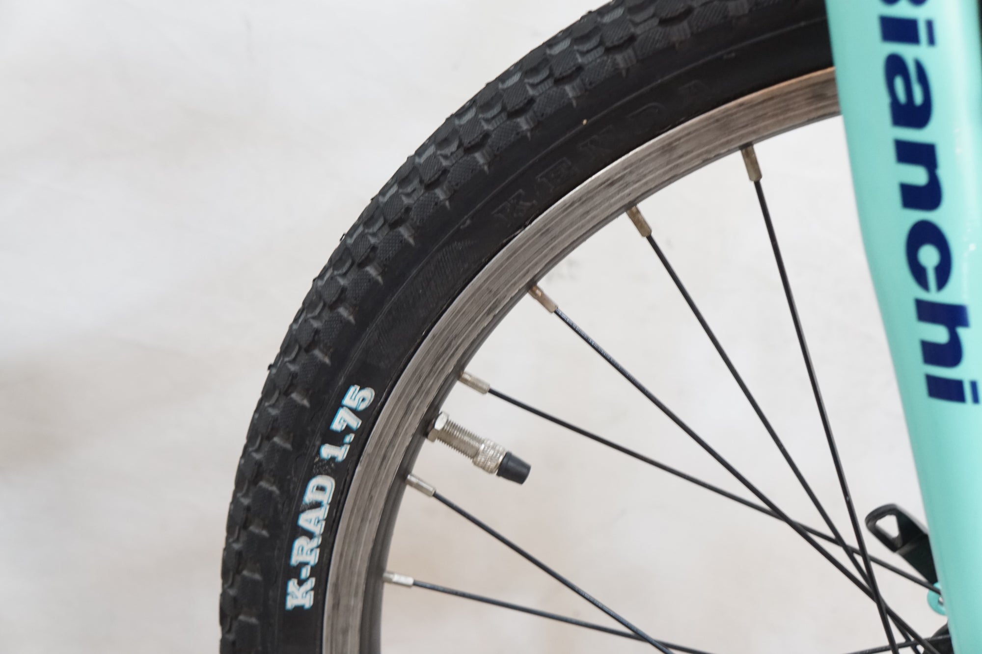 BIANCHI 「ビアンキ」 PIRATA 2020年頃 20インチ キッズバイク / バイチャリ浦和ベース