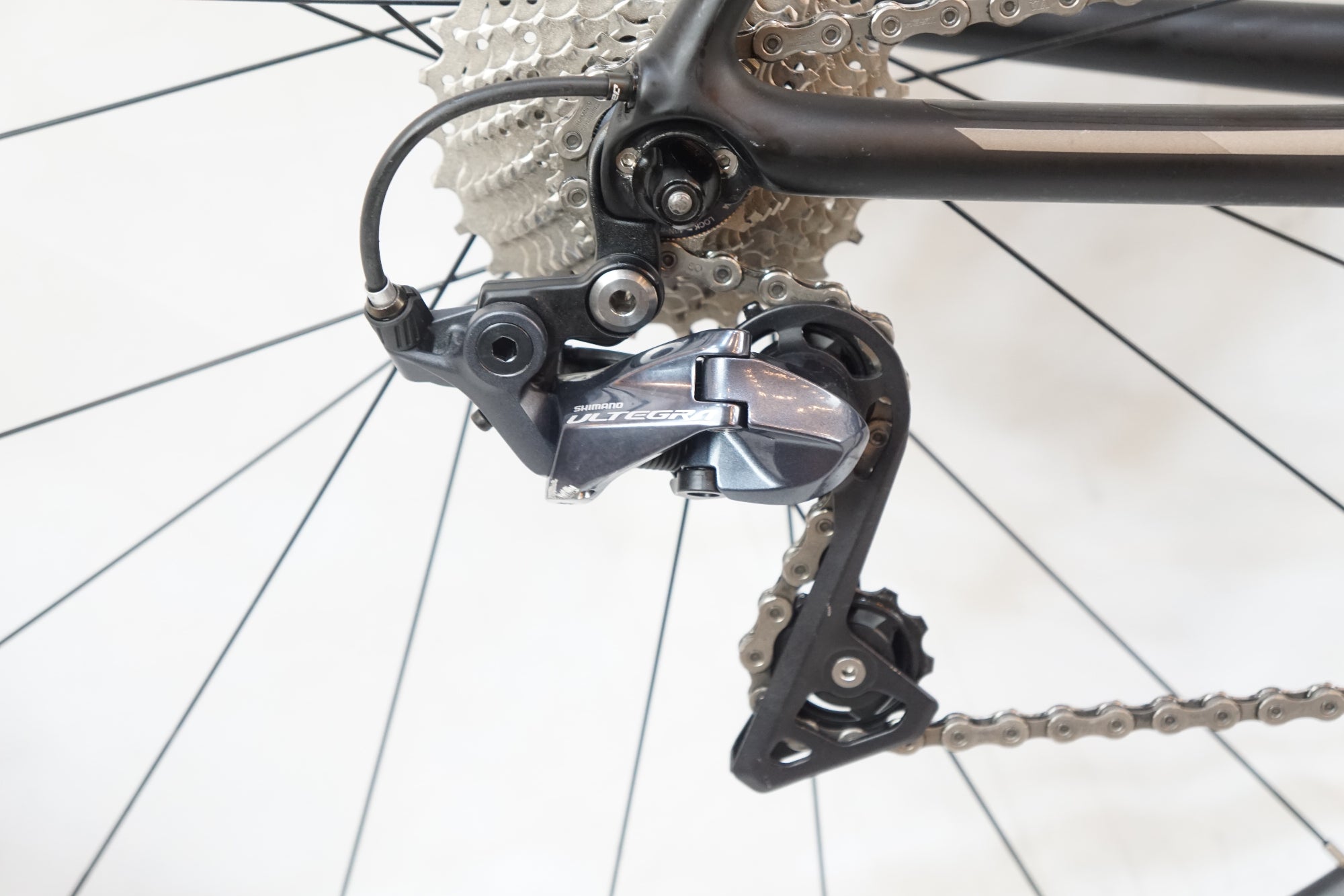 TREK 「トレック」 EMONDA SL 6 2019年モデル ロードバイク / バイチャリ浦和ベース