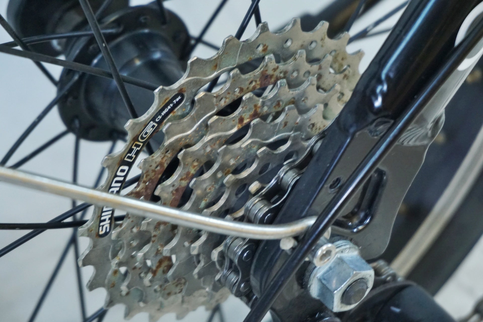 DAHON 「ダホン」 CURVE D7 2019年モデル 折り畳み自転車 / 有明ガーデン店