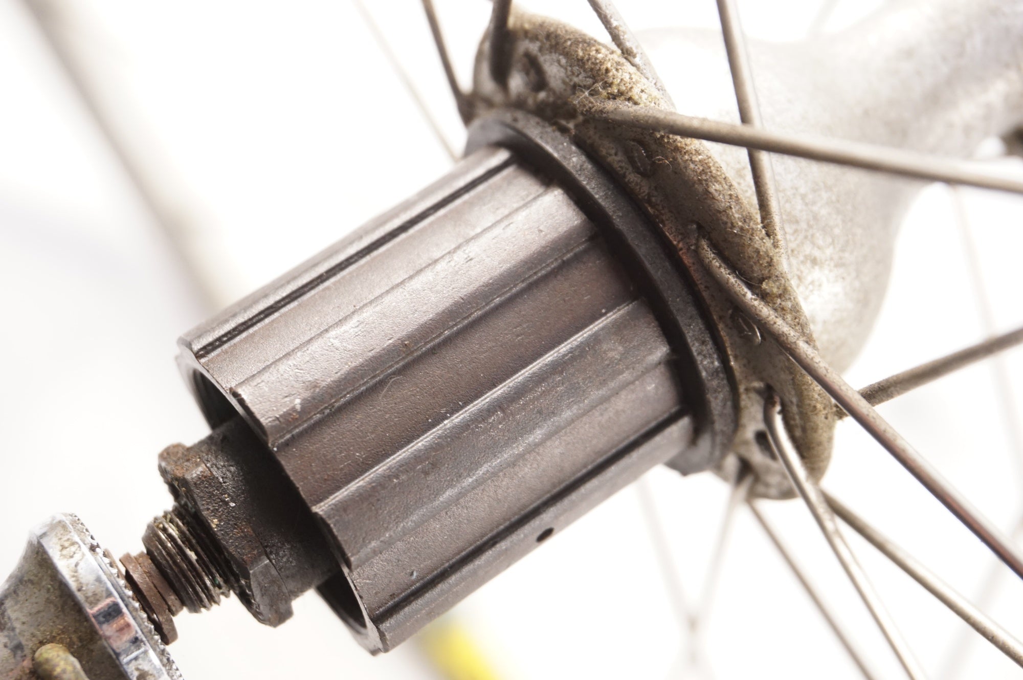 CAMPAGNOLO 「カンパニョーロ」 VELOCE / MAVIC 195 カンパフリー8速