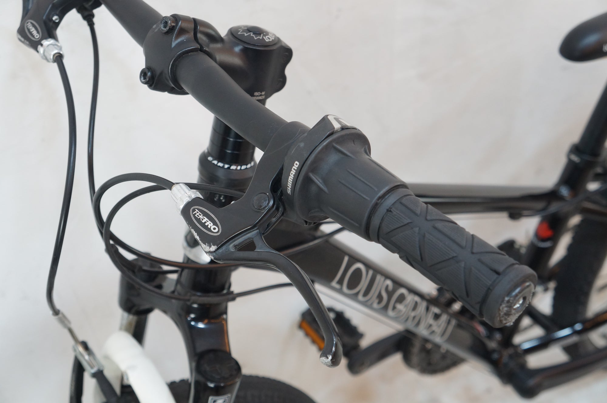 LOUIS GARNEAU 「ルイガノ」 J24 2024年モデル 24インチ キッズバイク