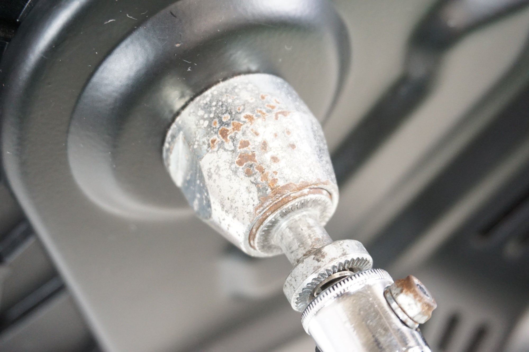 ELITE 「エリート」 SUITO スマートトレーナー / 宇都宮店