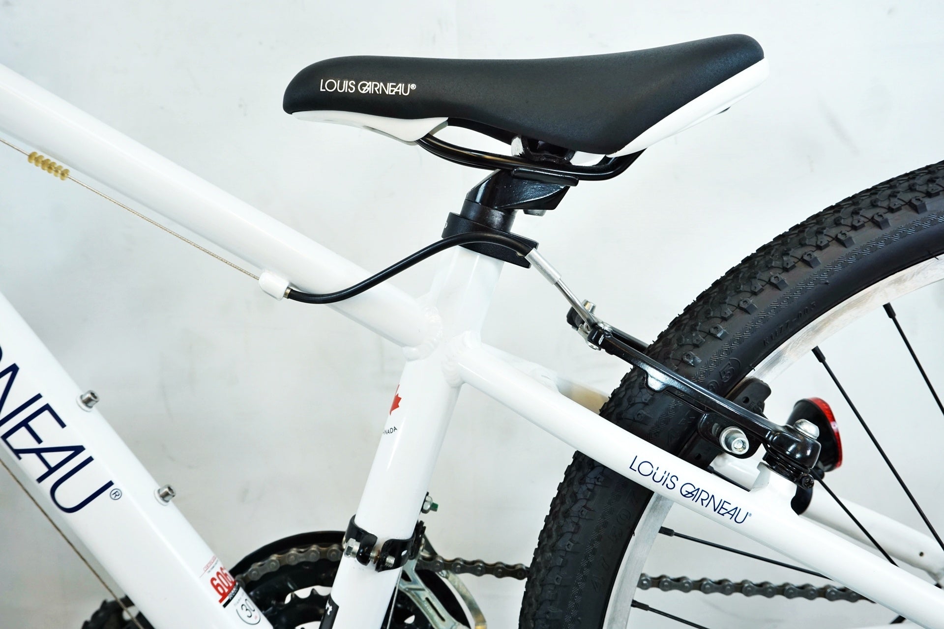 LOUIS GARNEAU 「ルイガノ」 LGS-J24 2020年モデル キッズバイク
