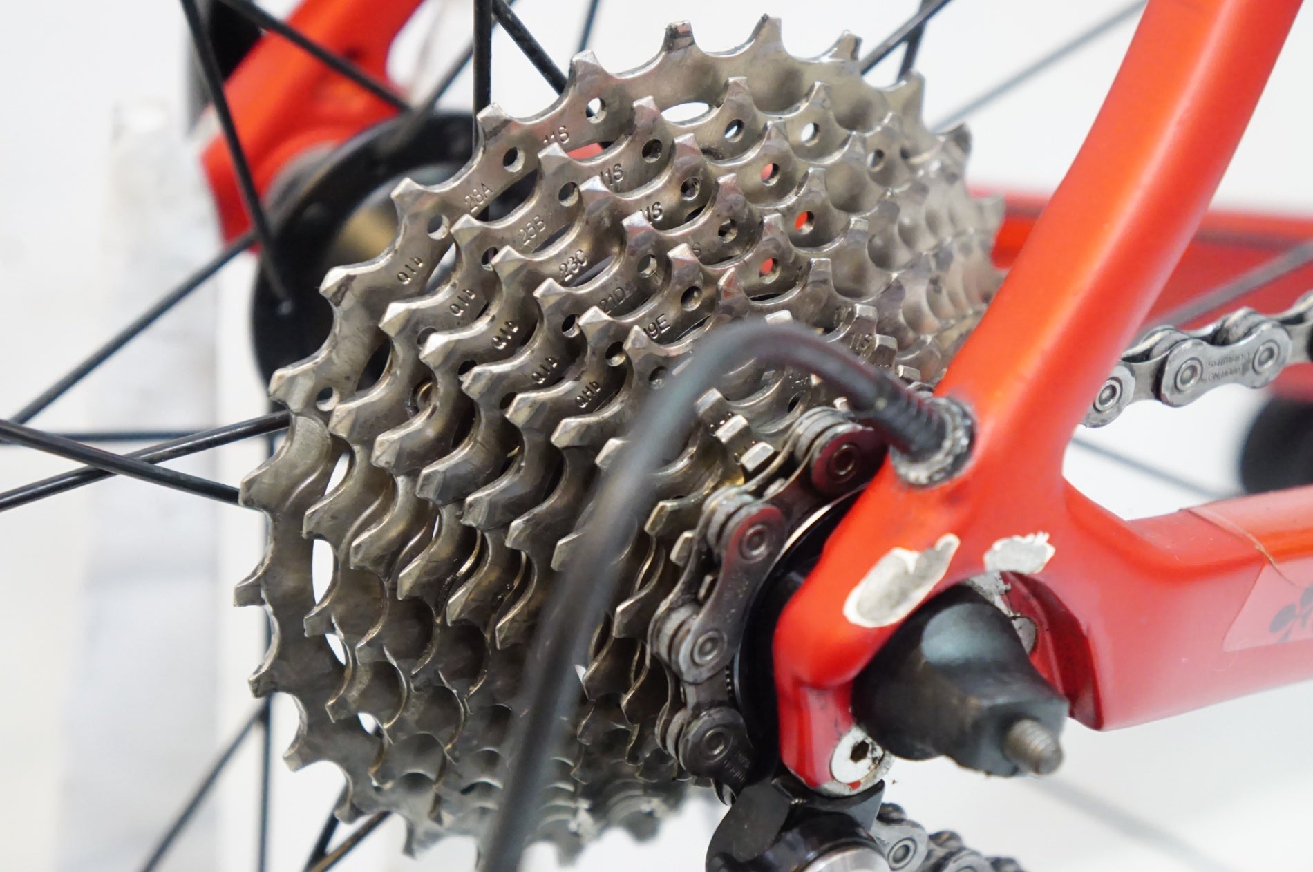 COLNAGO 「コルナゴ」 C-RS 105 2019年モデル ロードバイク / 熊本谷店