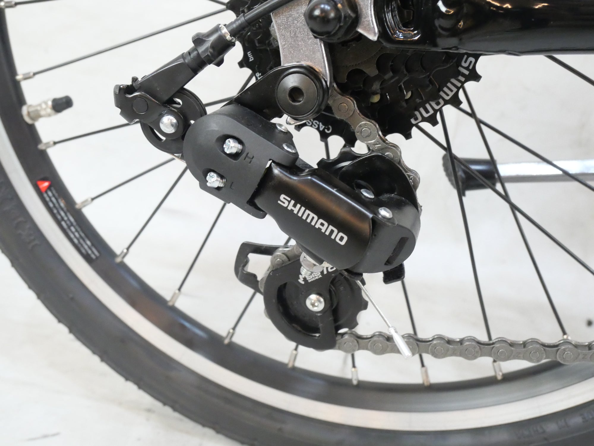 LOUIS GARNEAU 「ルイガノ」 EASEL 6.0 2021年モデル 20インチ