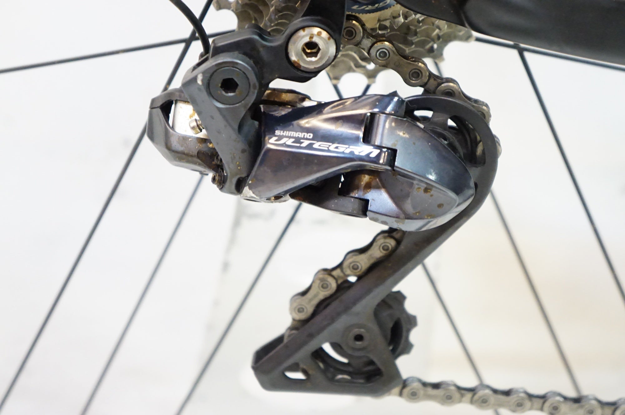 CEEPO 「シーポ」 MAMBA 2018年モデル トライアスロンバイク / 熊谷本店