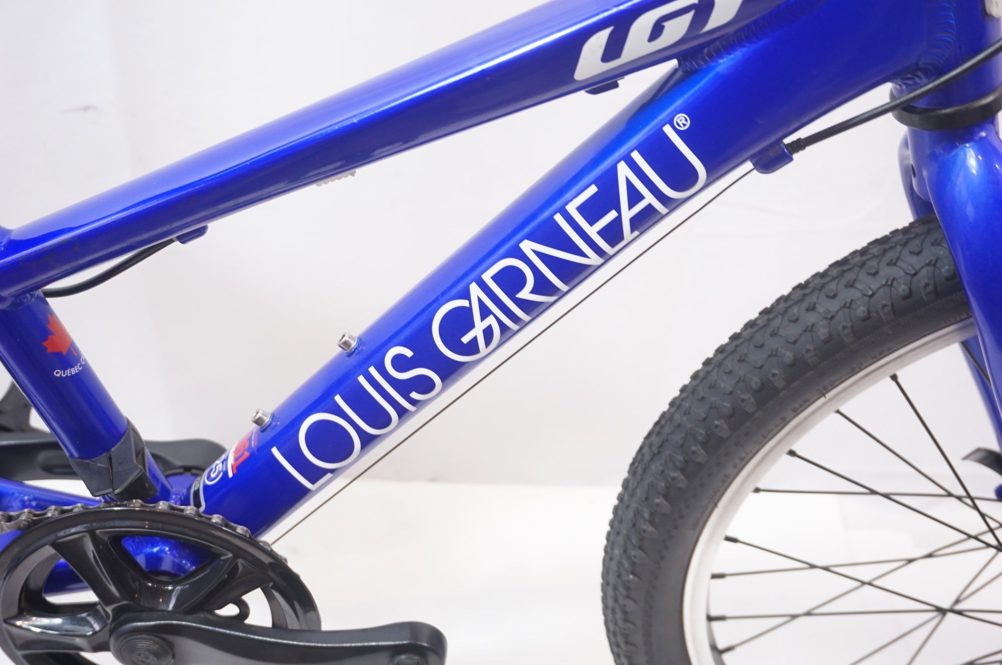 LOUIS GARNEAU 「ルイガノ」 LGS-J20 2022年モデル キッズバイク 