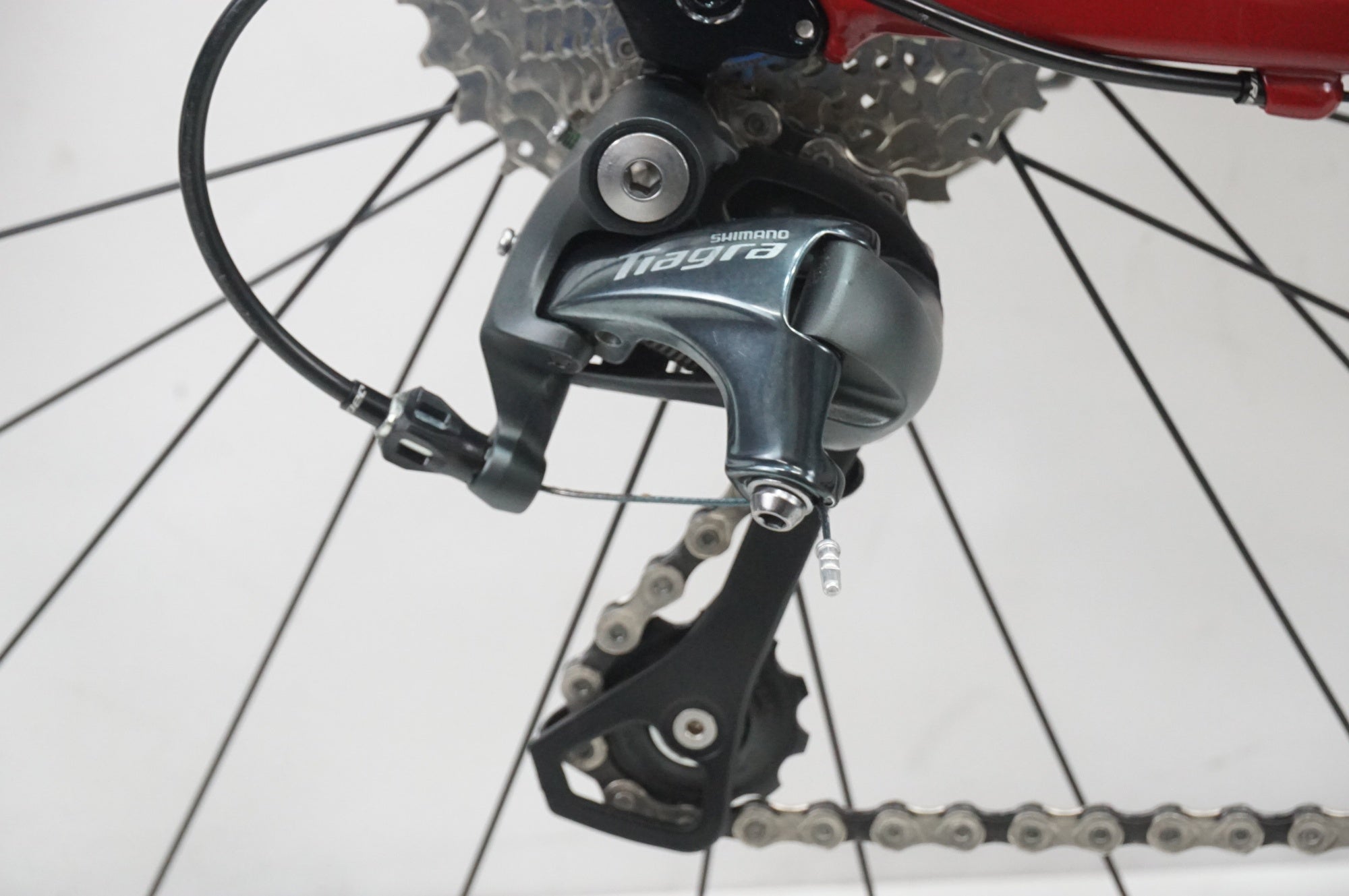 RIDLEY 「リドレー」 FENIX SLA DISC TIAGRA 2024年モデル ロード