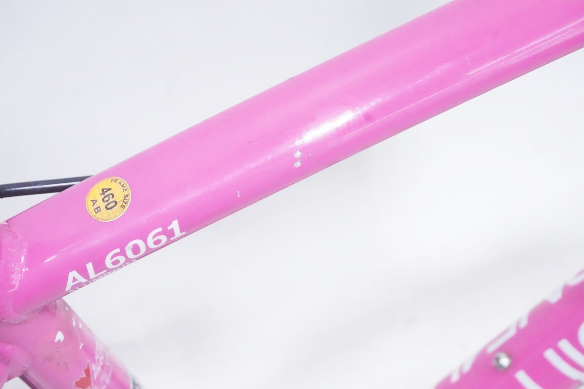 LOUIS GARNEAU 「ルイガノ」 LGS-CEN WOMAN 2010年モデル ロードバイク