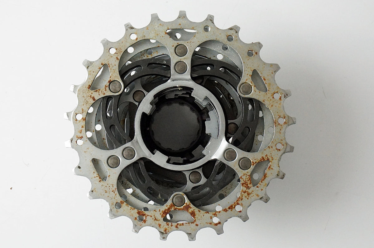 CAMPAGNOLO 「カンパニョーロ」 12-25T スプロケット / 浜松店