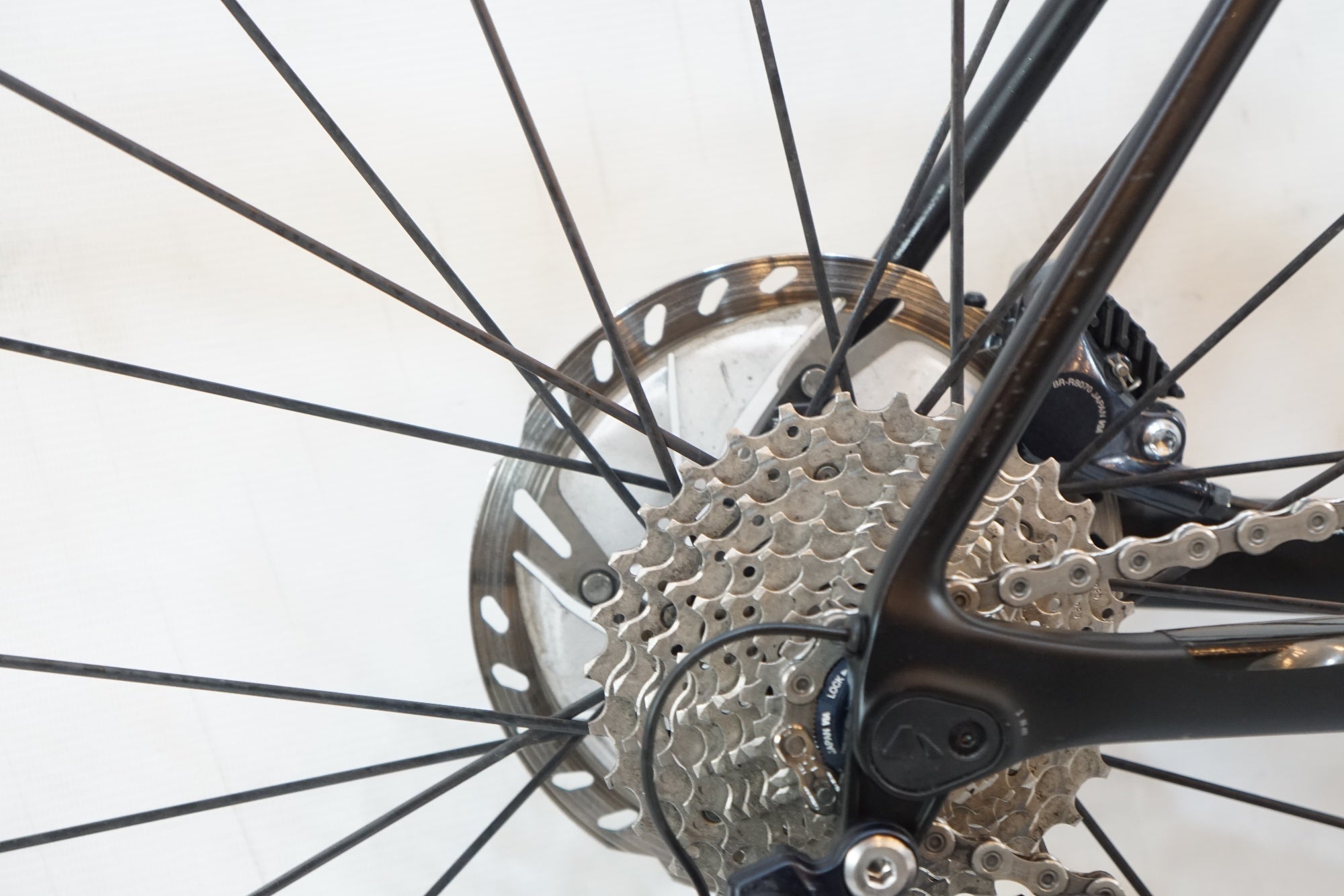 CANYON 「キャニオン」 ENDURACE CF SL DISC 8.0 AERO DI2 2019年モデル ロードバイク / バイチャリ浦和ベース